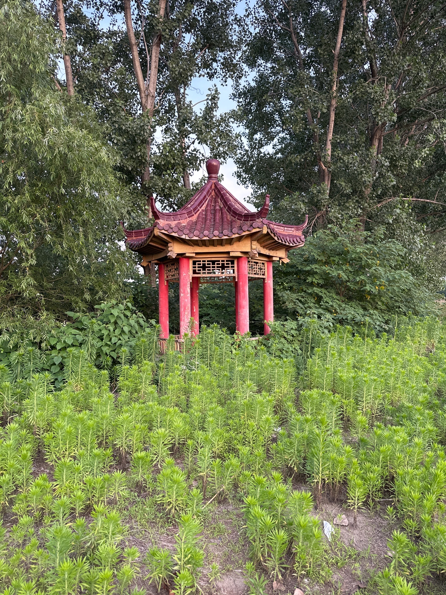 观潮楼