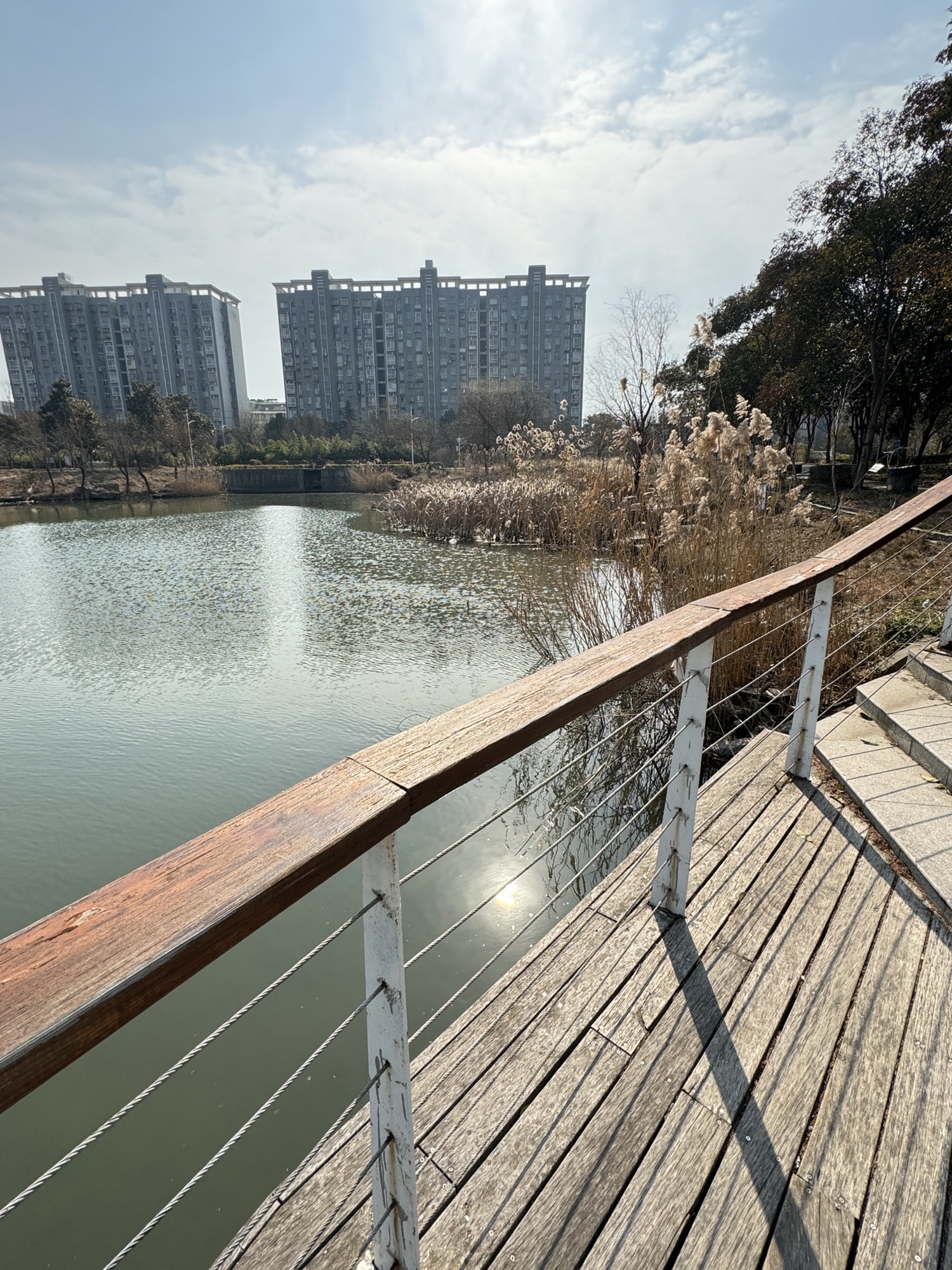 高港生态公园旅行图片 1