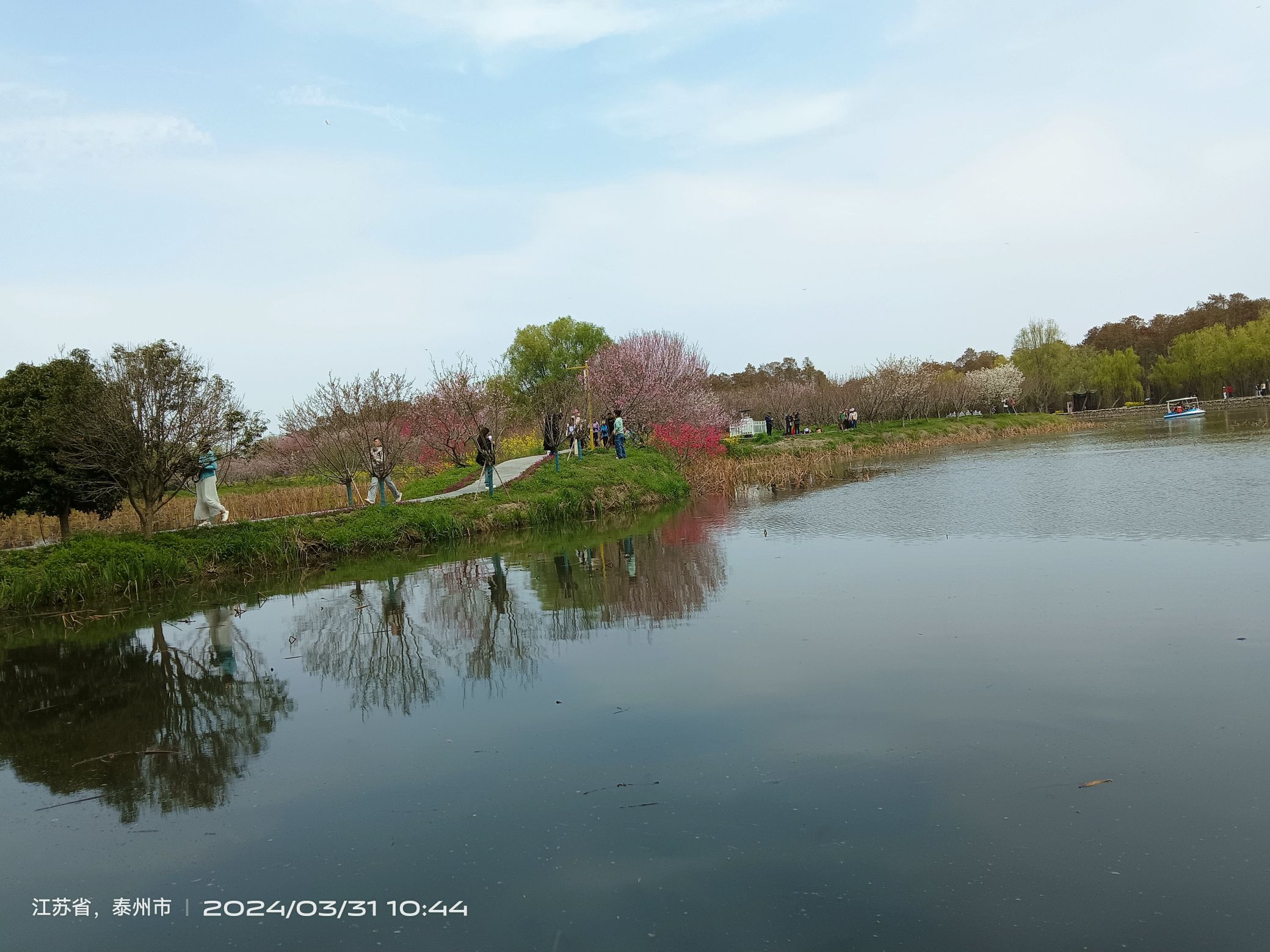 里下河国家湿地公园旅行图片 2