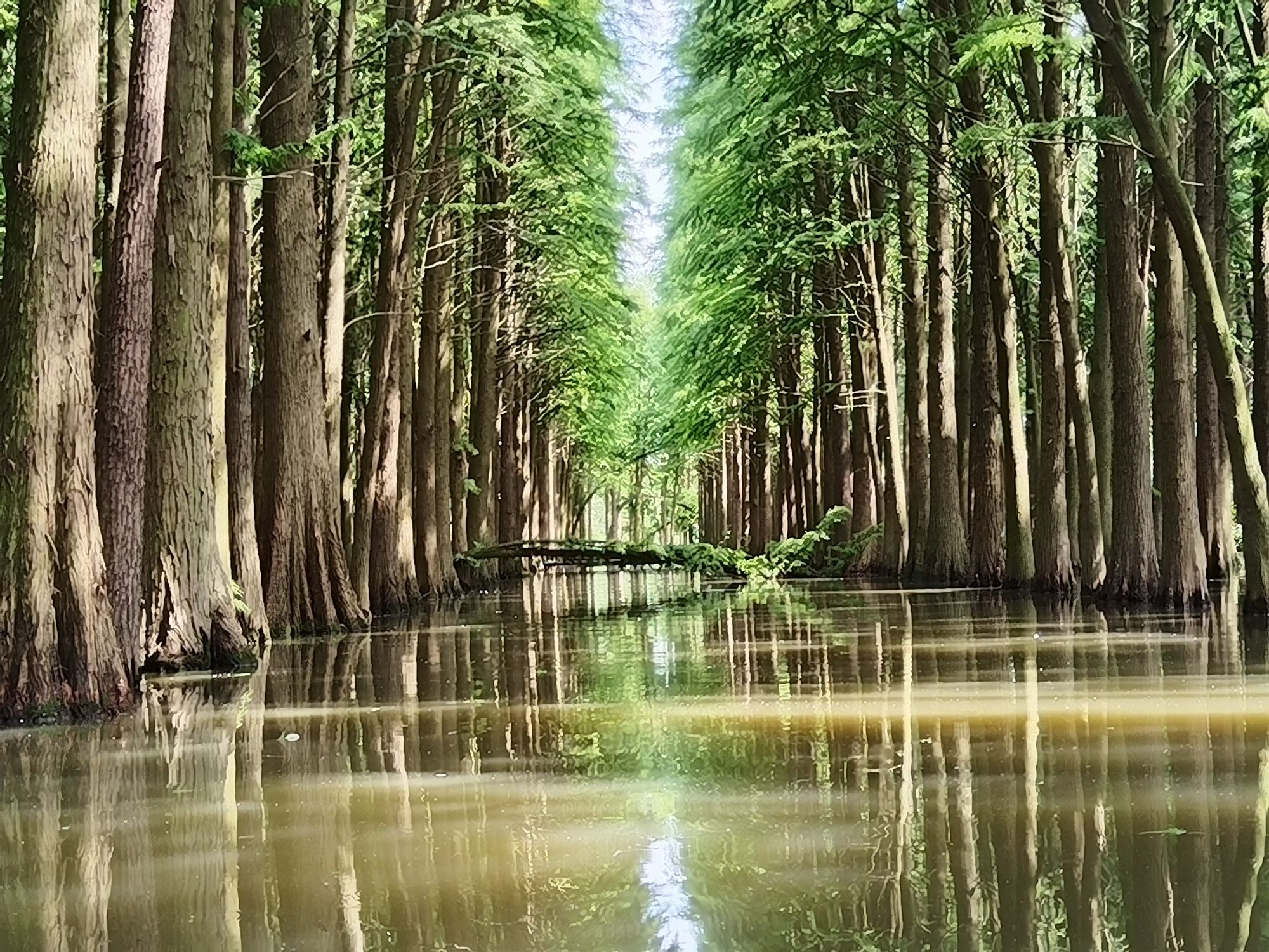 里下河国家湿地公园