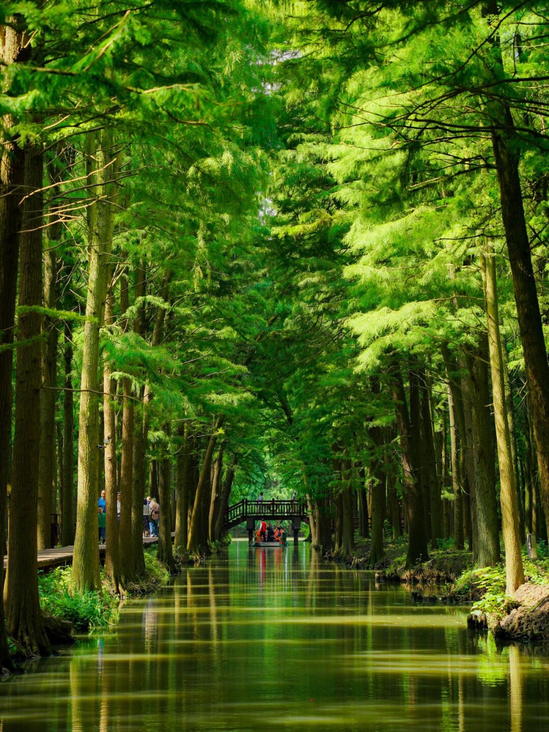 里下河国家湿地公园