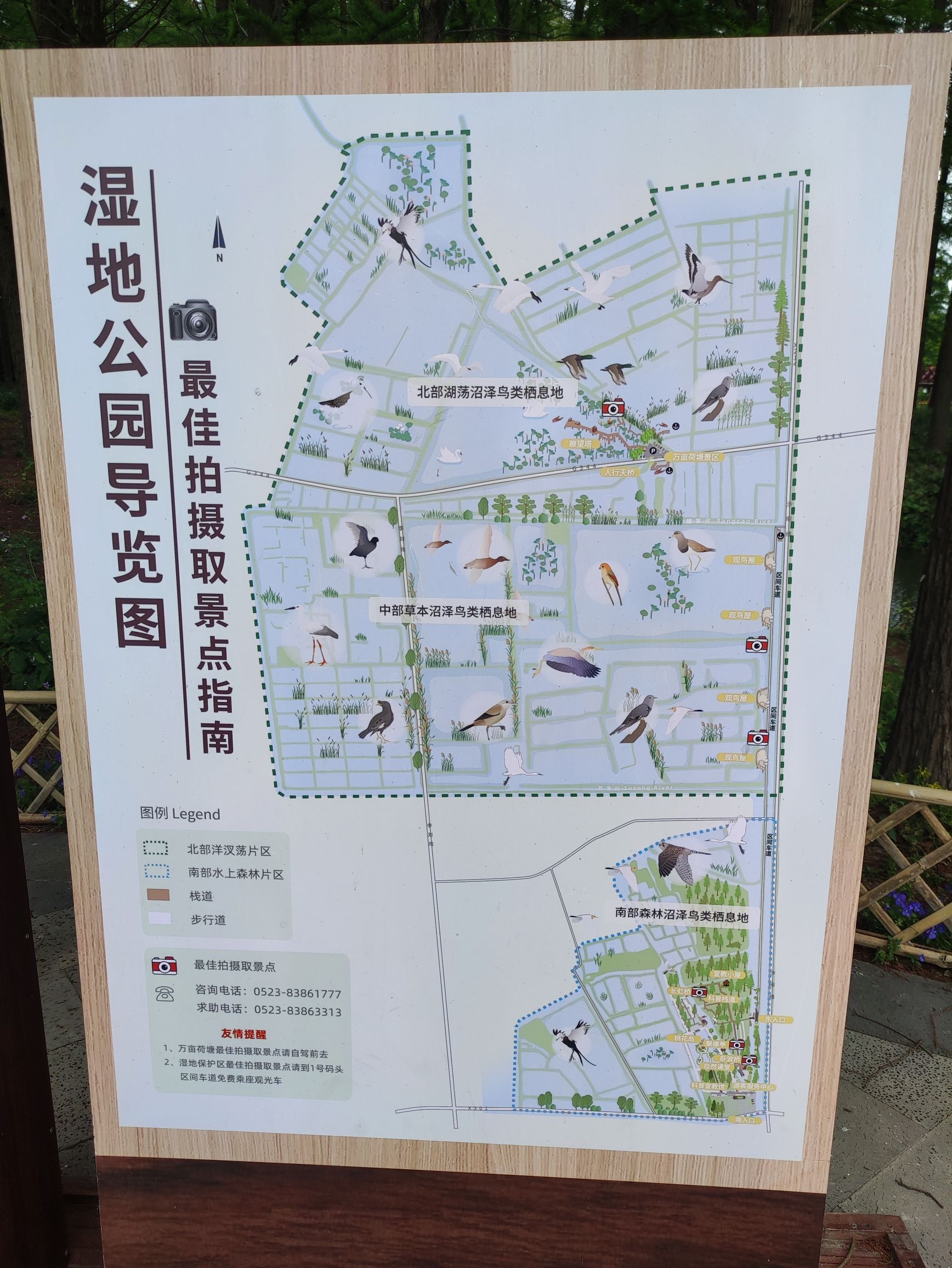 里下河国家湿地公园旅行图片 1
