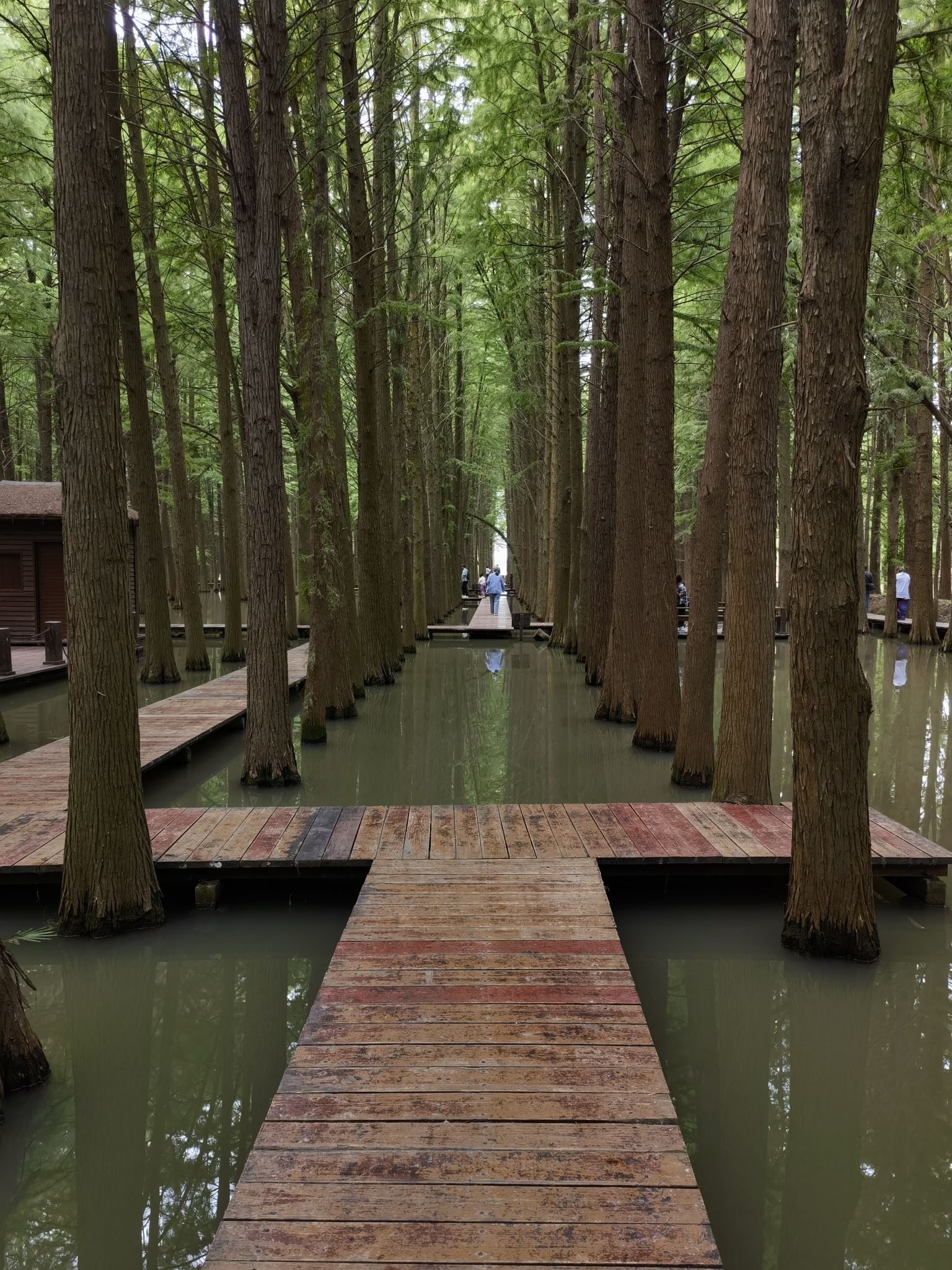 里下河国家湿地公园