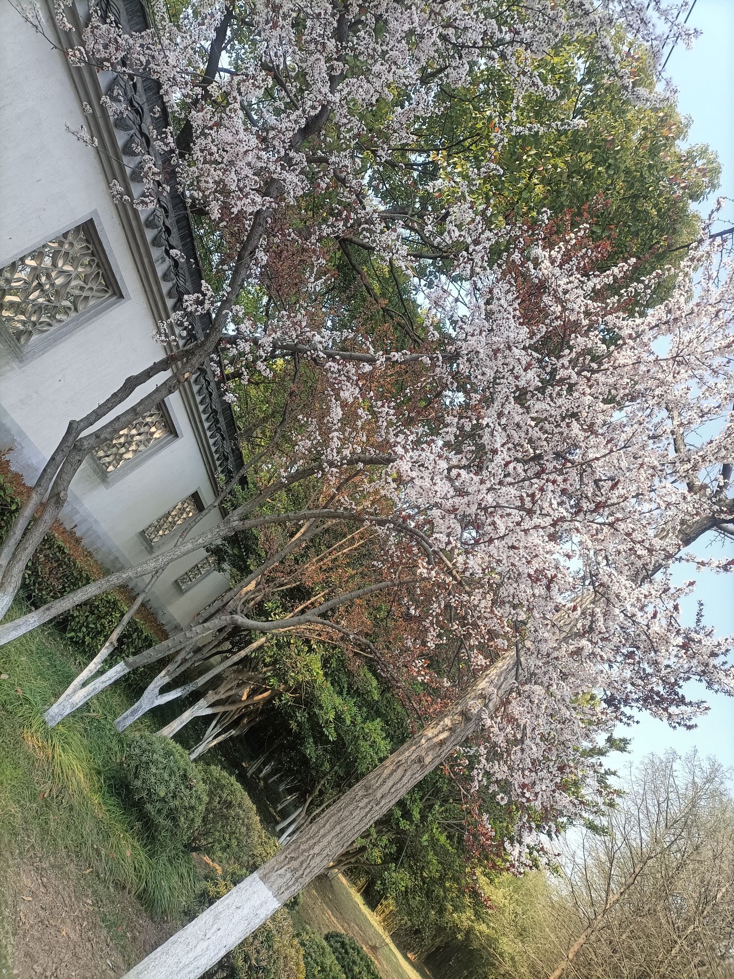 东湖园旅行图片 3