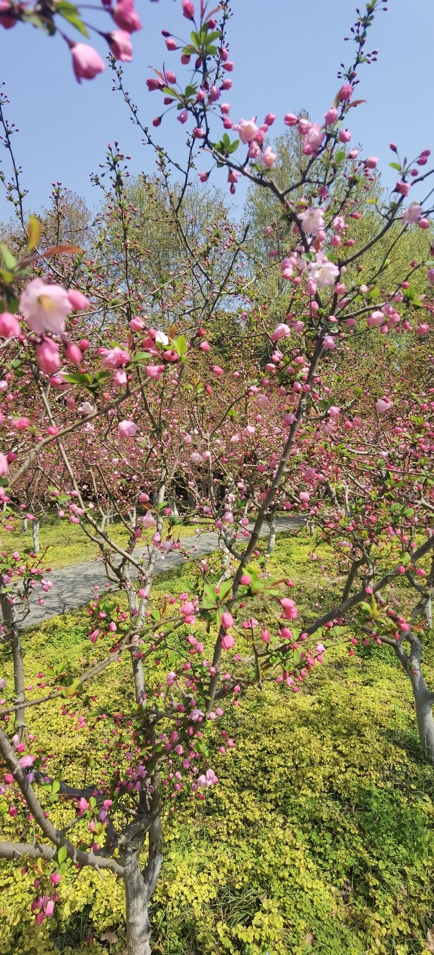 东湖园旅行图片 3