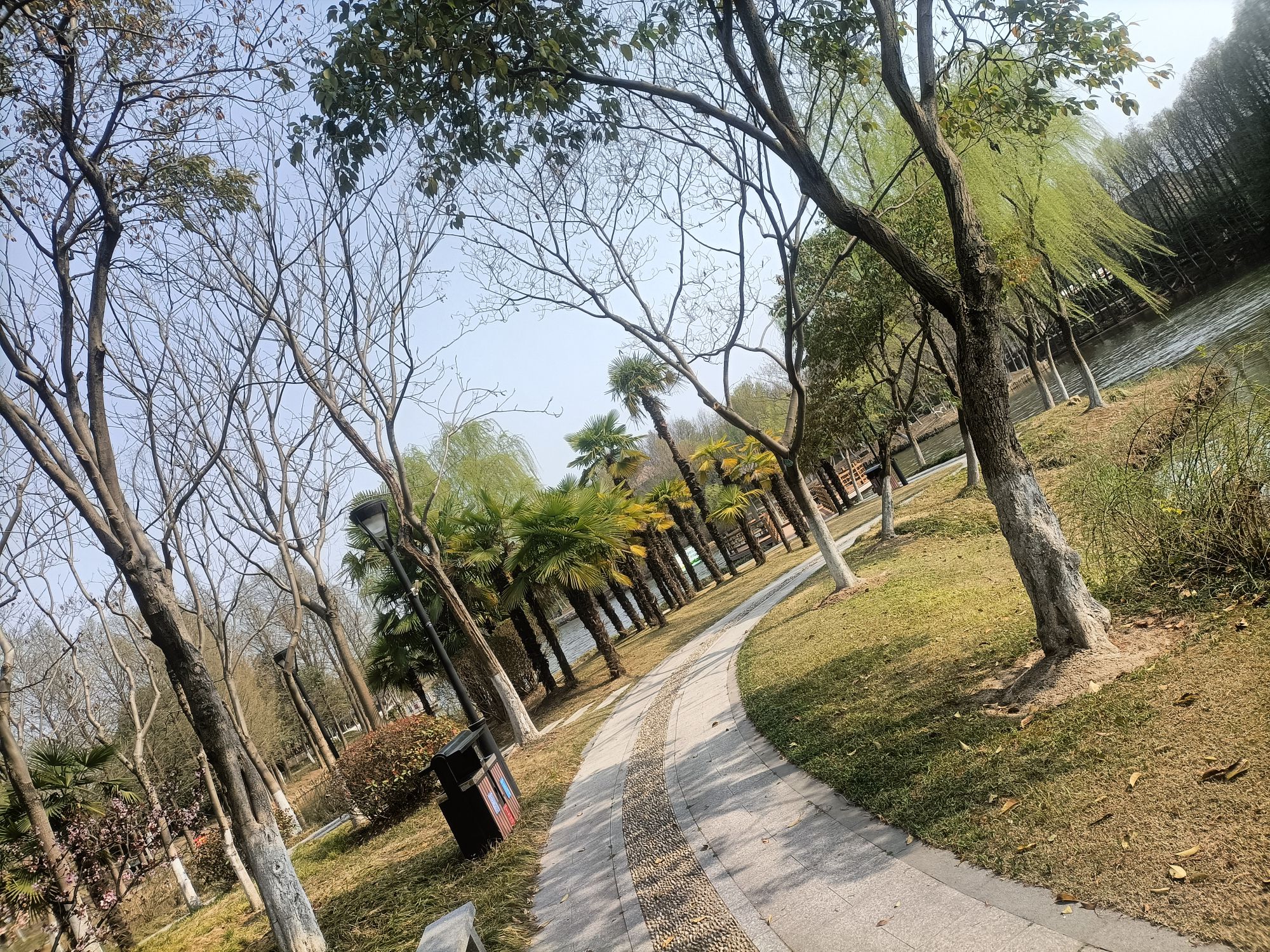 东湖园旅行图片 1