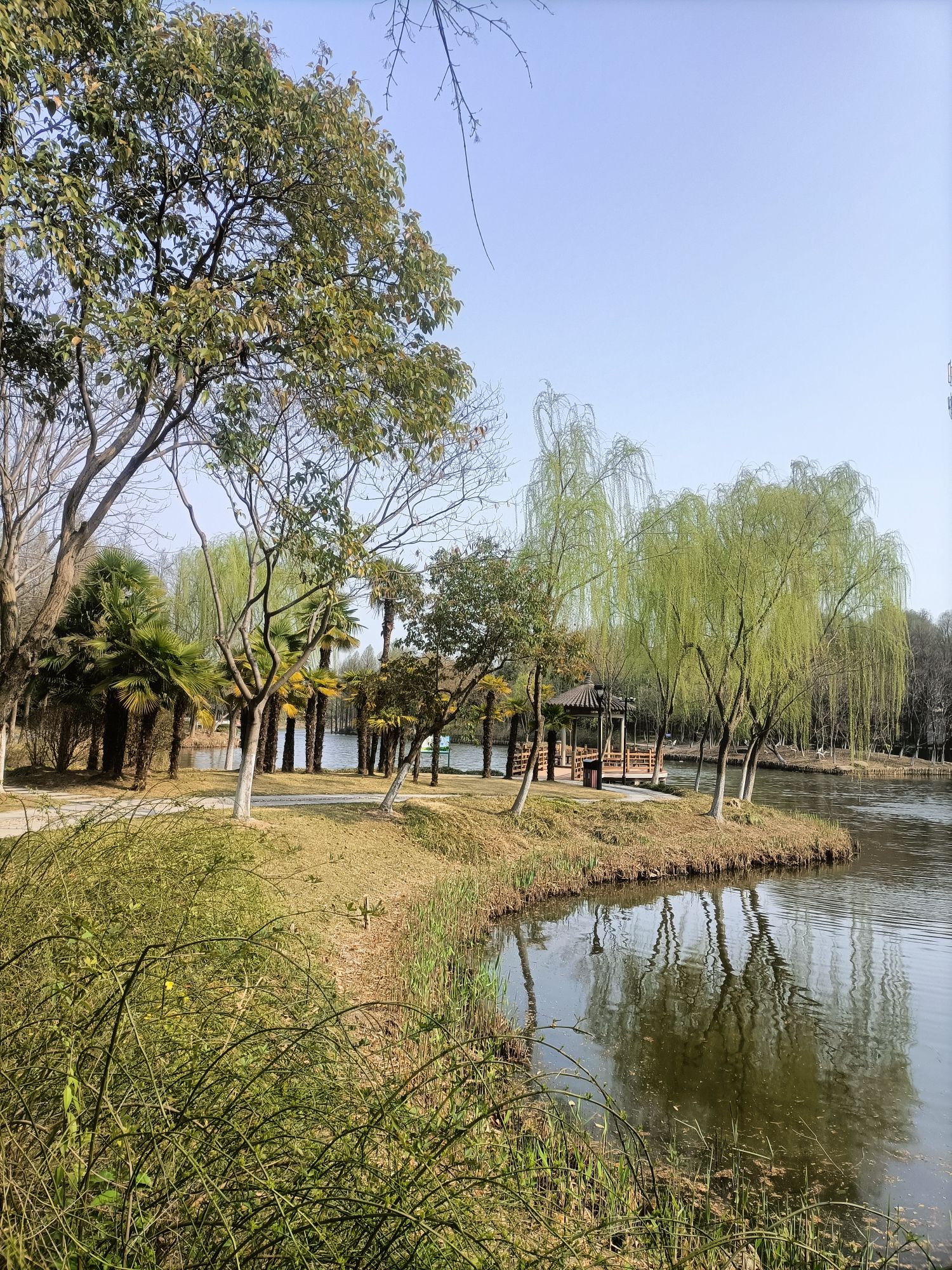 东湖园旅行图片 2