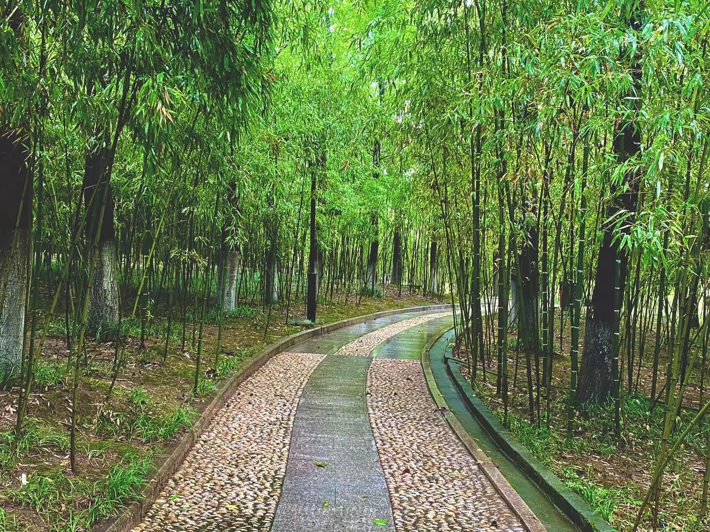 东湖园旅行图片 2