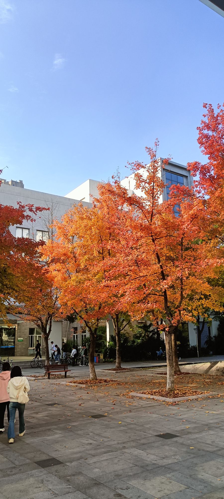 南京师范大学泰州学院