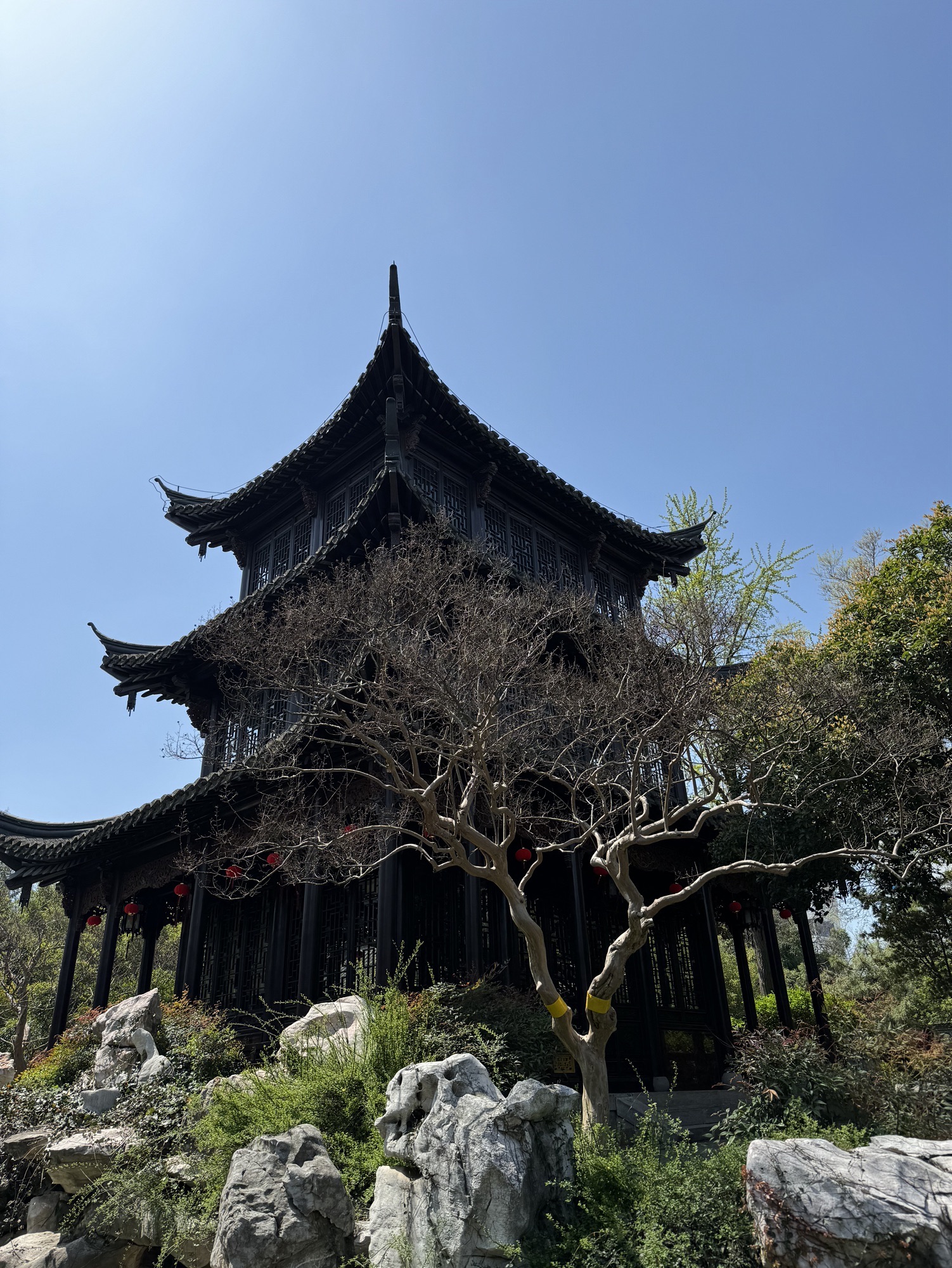 乔园旅行图片 2