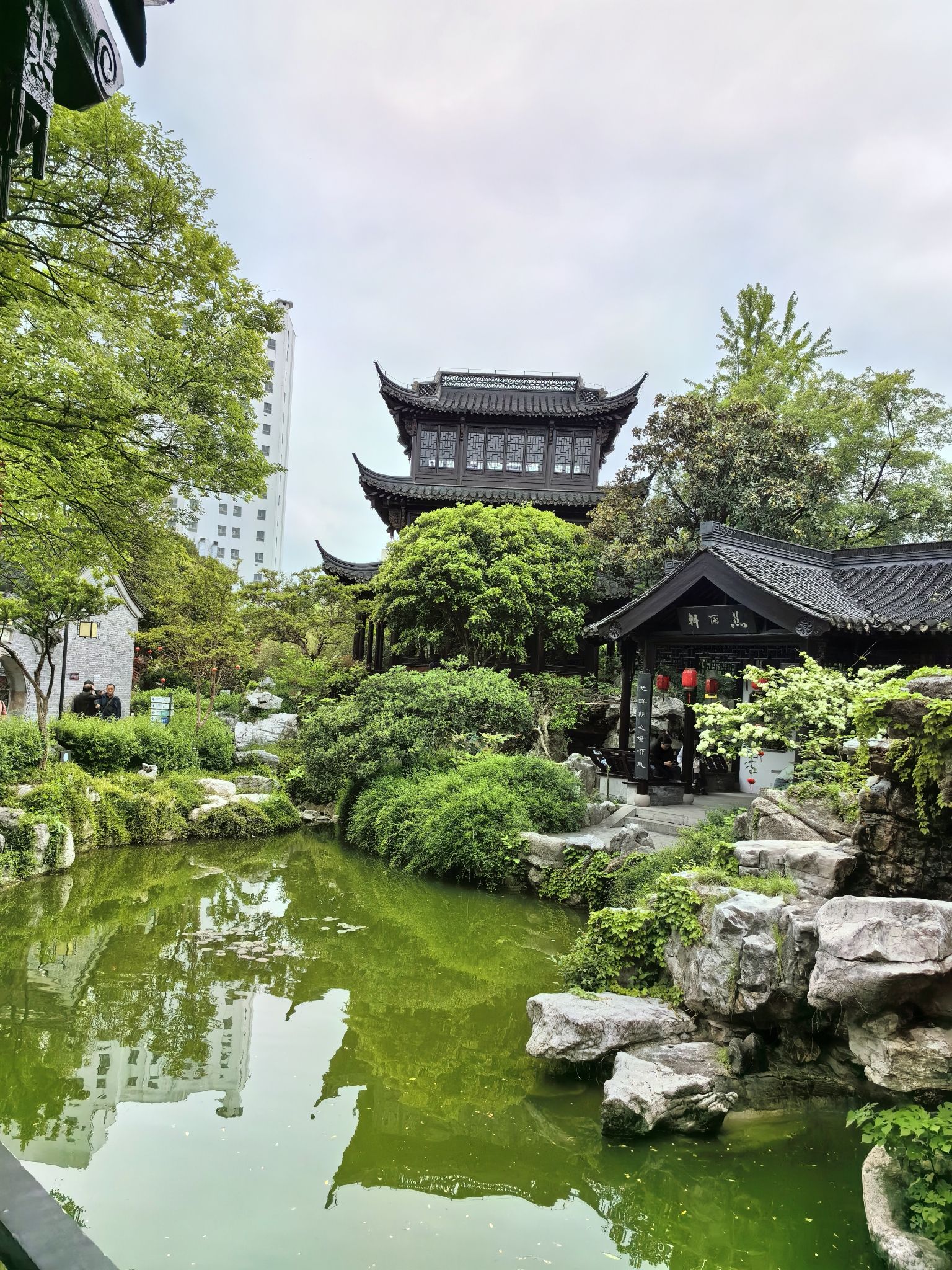 乔园旅行图片 2
