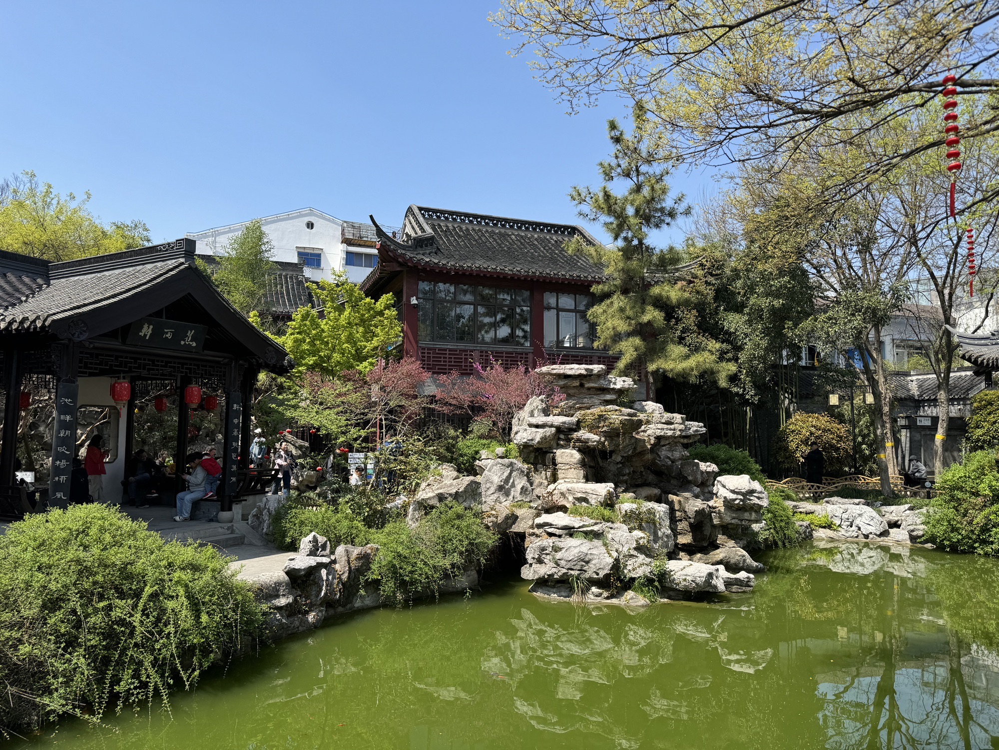 乔园旅行图片 3