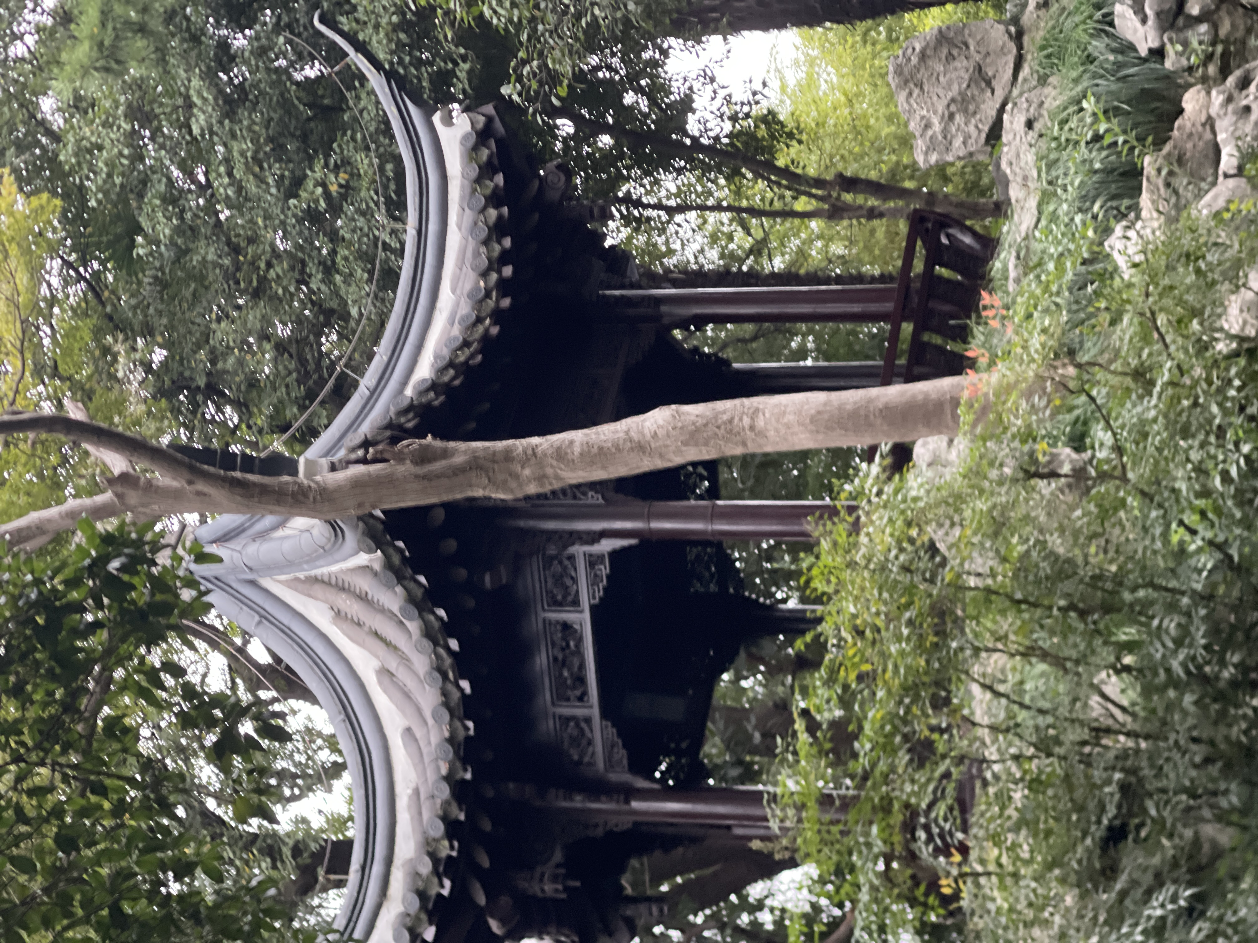 乔园旅行图片 1