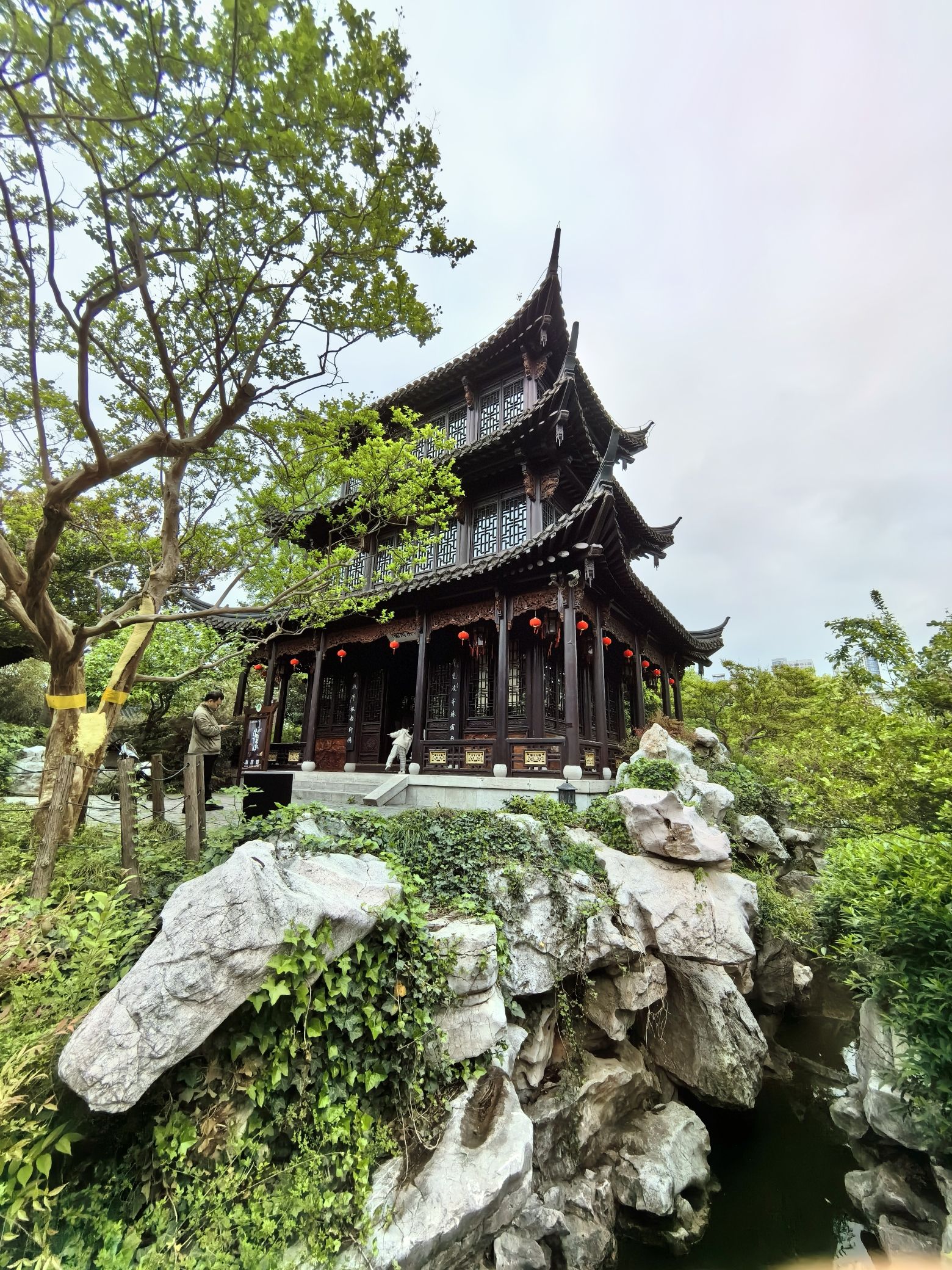 乔园旅行图片 1