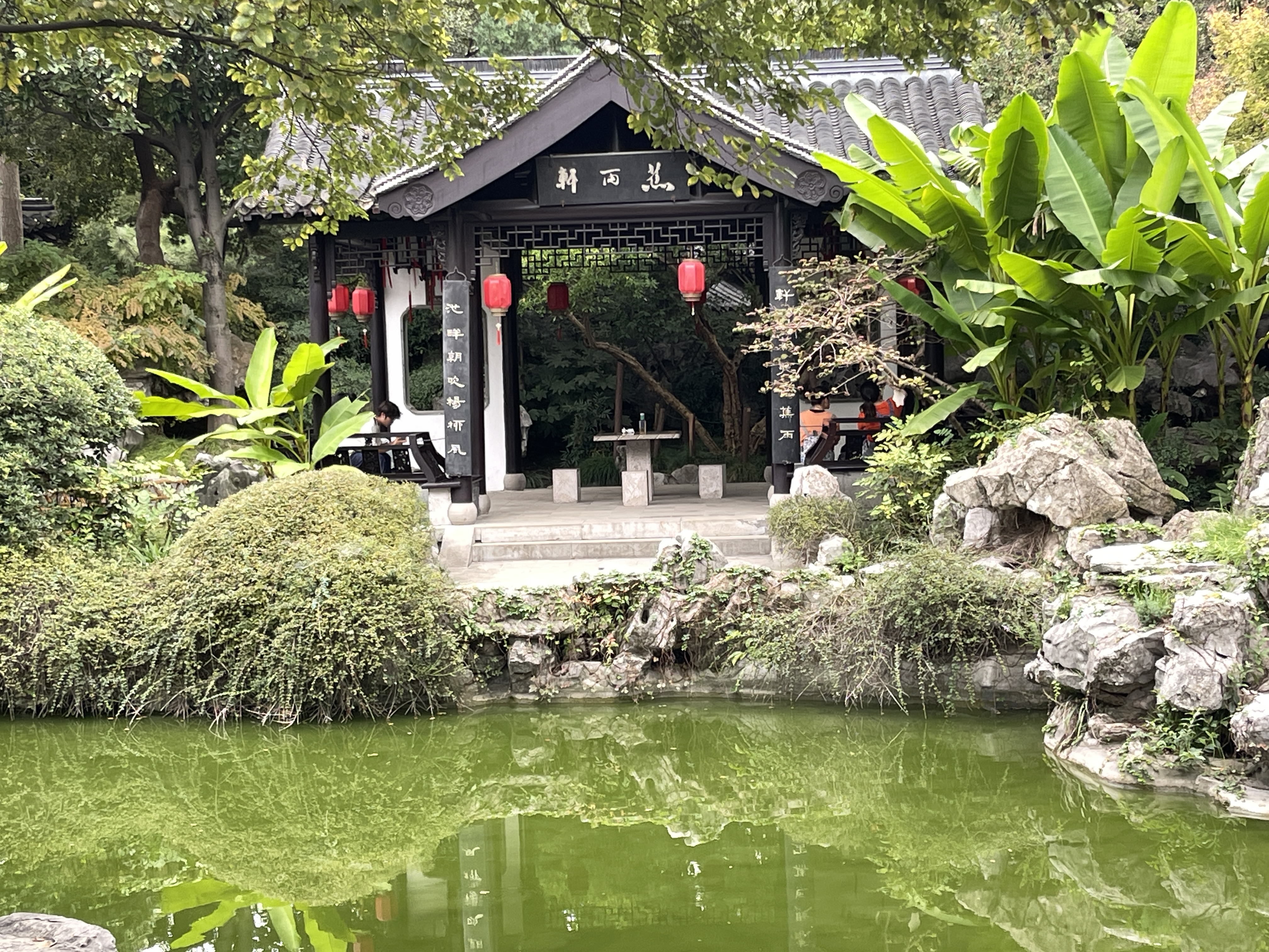 乔园旅行图片 3