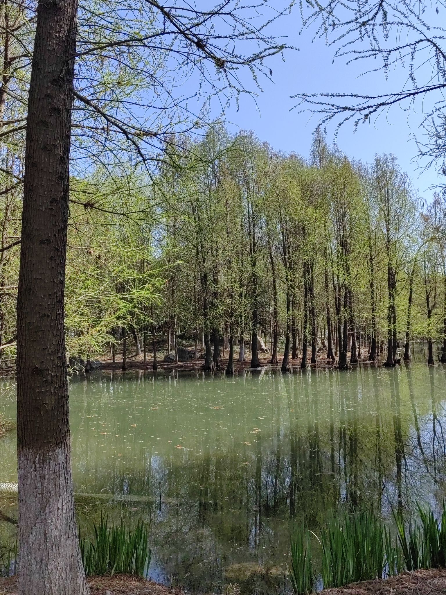 牧城公园旅行图片 1