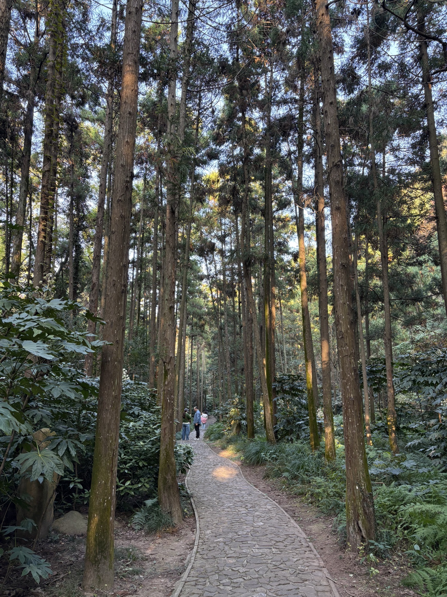 牧城公园旅行图片 1