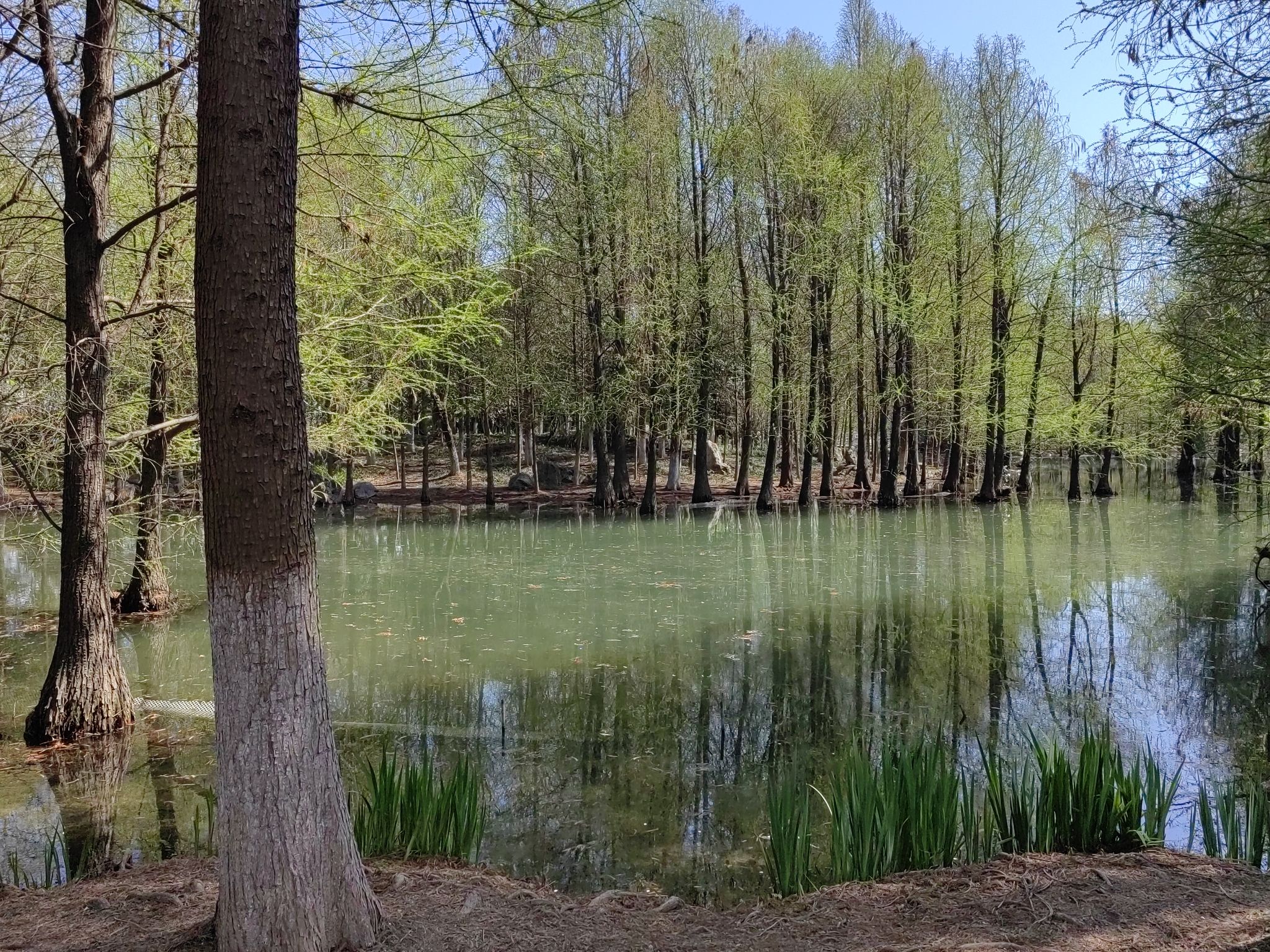 牧城公园旅行图片 3