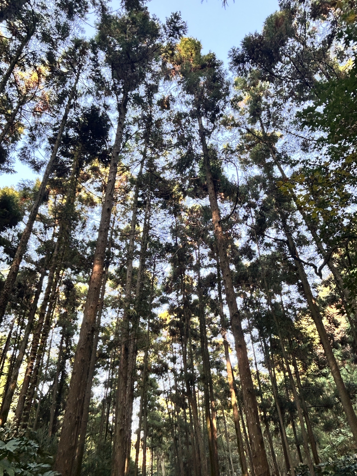 牧城公园旅行图片 2