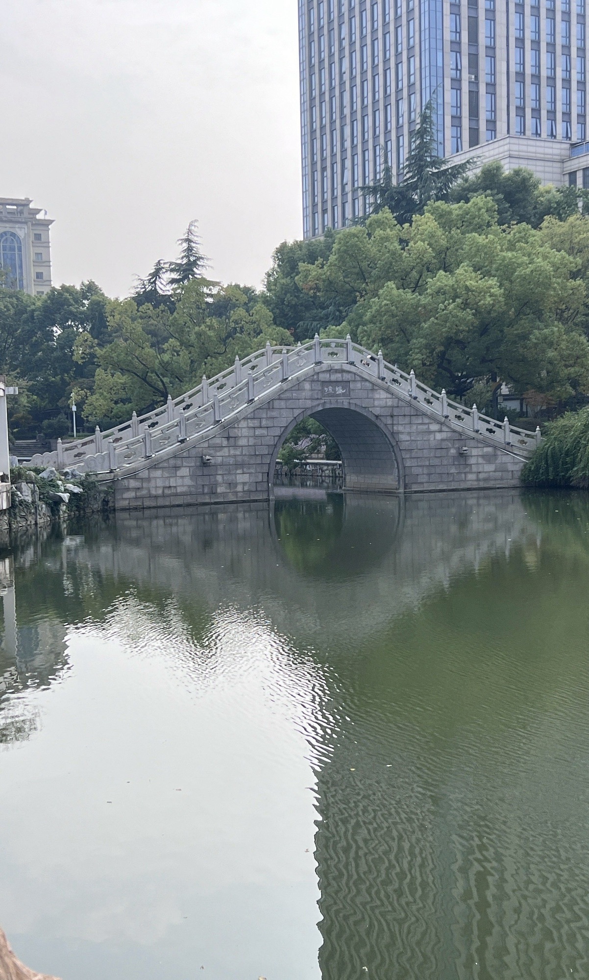 仙鹤湾风光带旅行图片 3