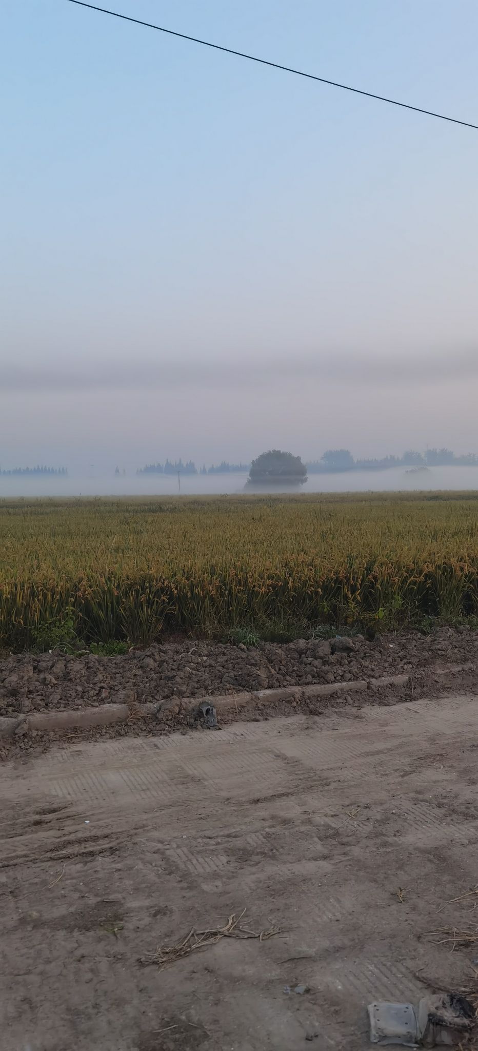 九龙宝鼎旅行图片 1
