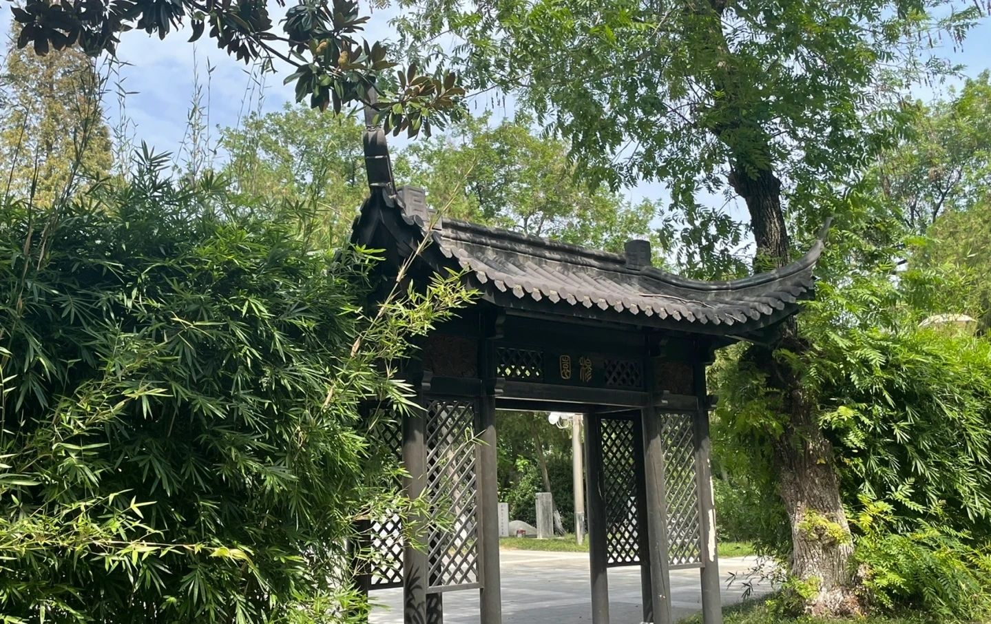 黄桥公园旅行图片 1