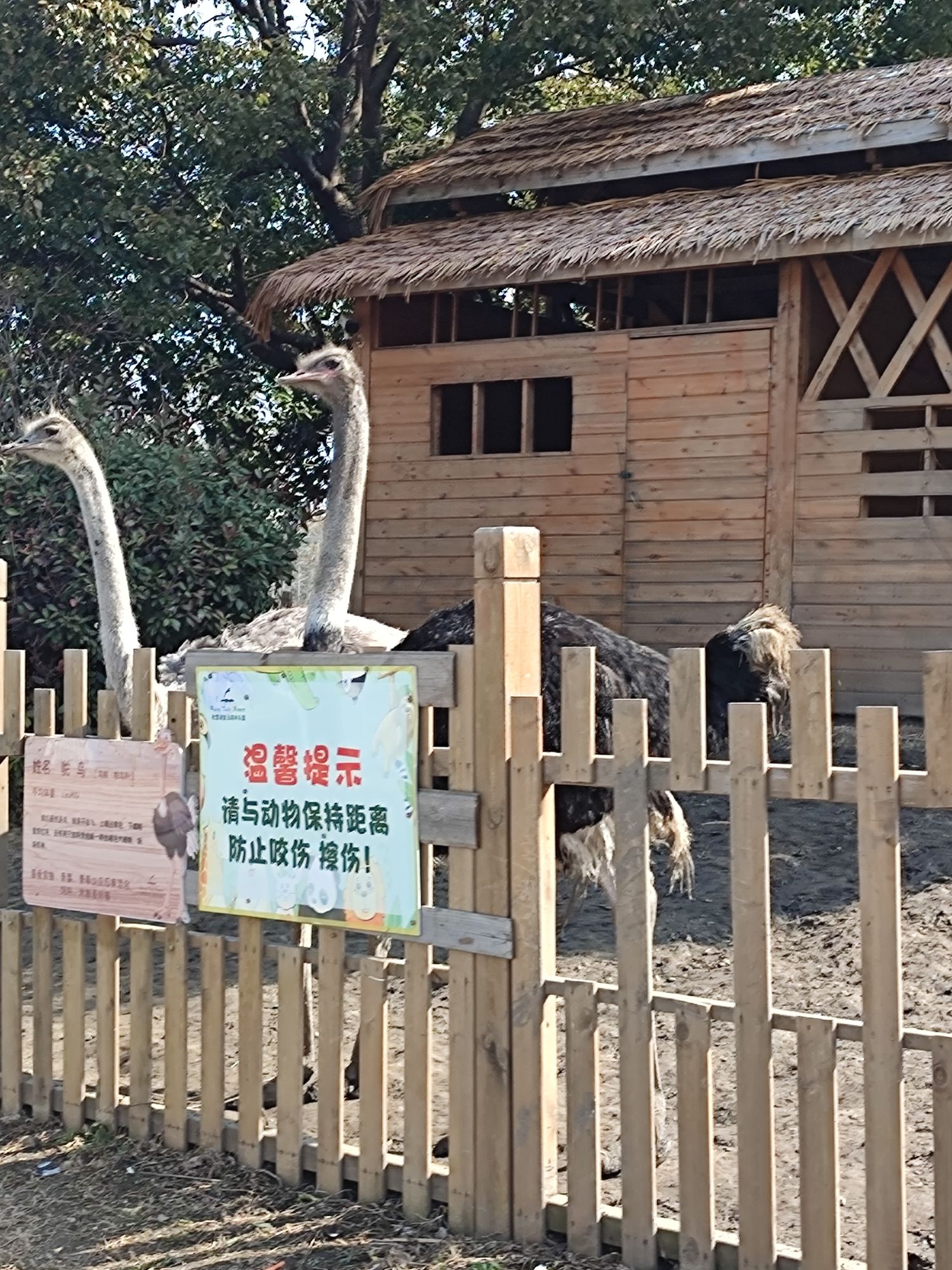 秋雪湖童话森林旅行图片 3