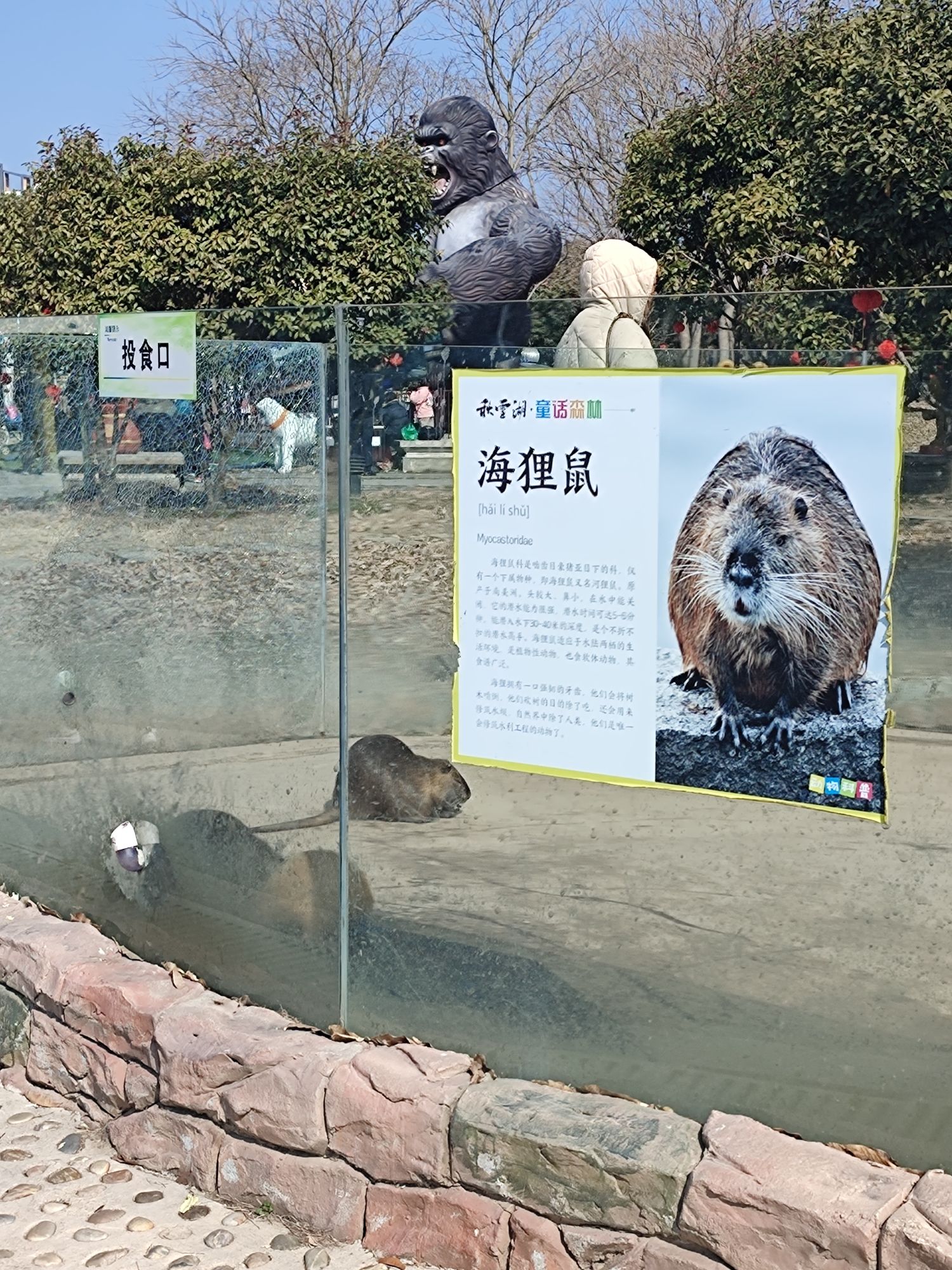 秋雪湖童话森林旅行图片 2