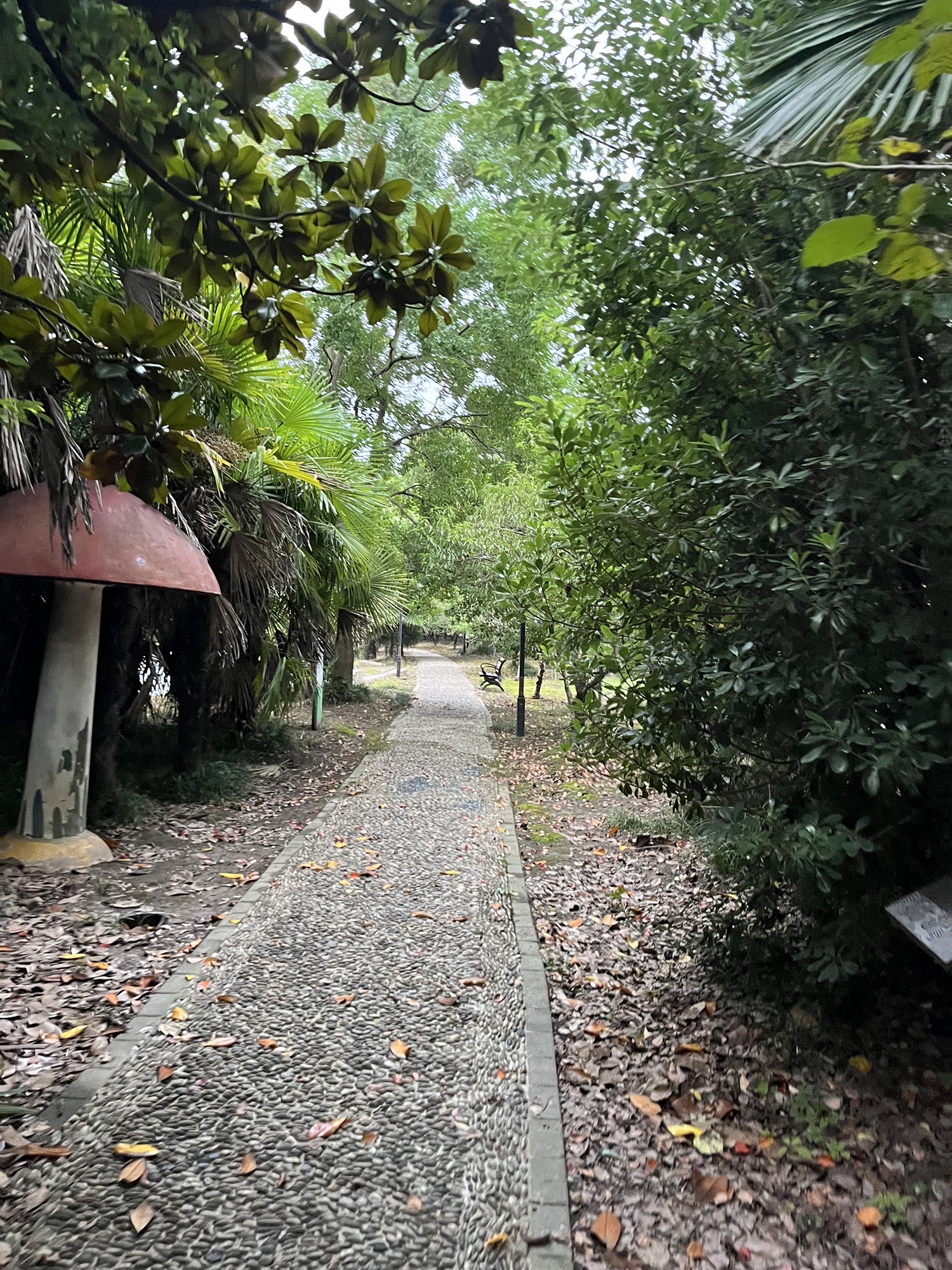 西来科技植物园旅行图片 3