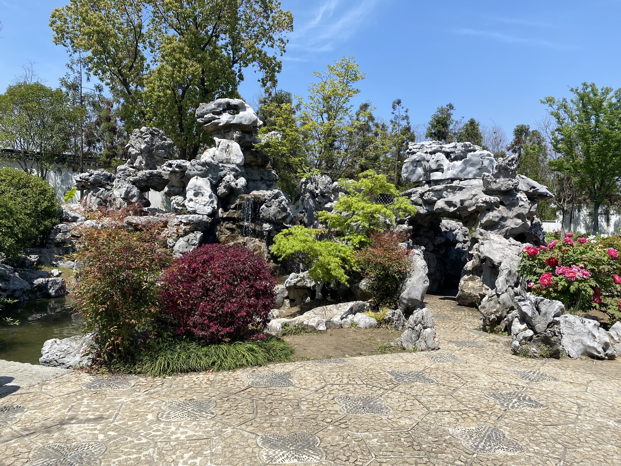 西来科技植物园旅行图片 2