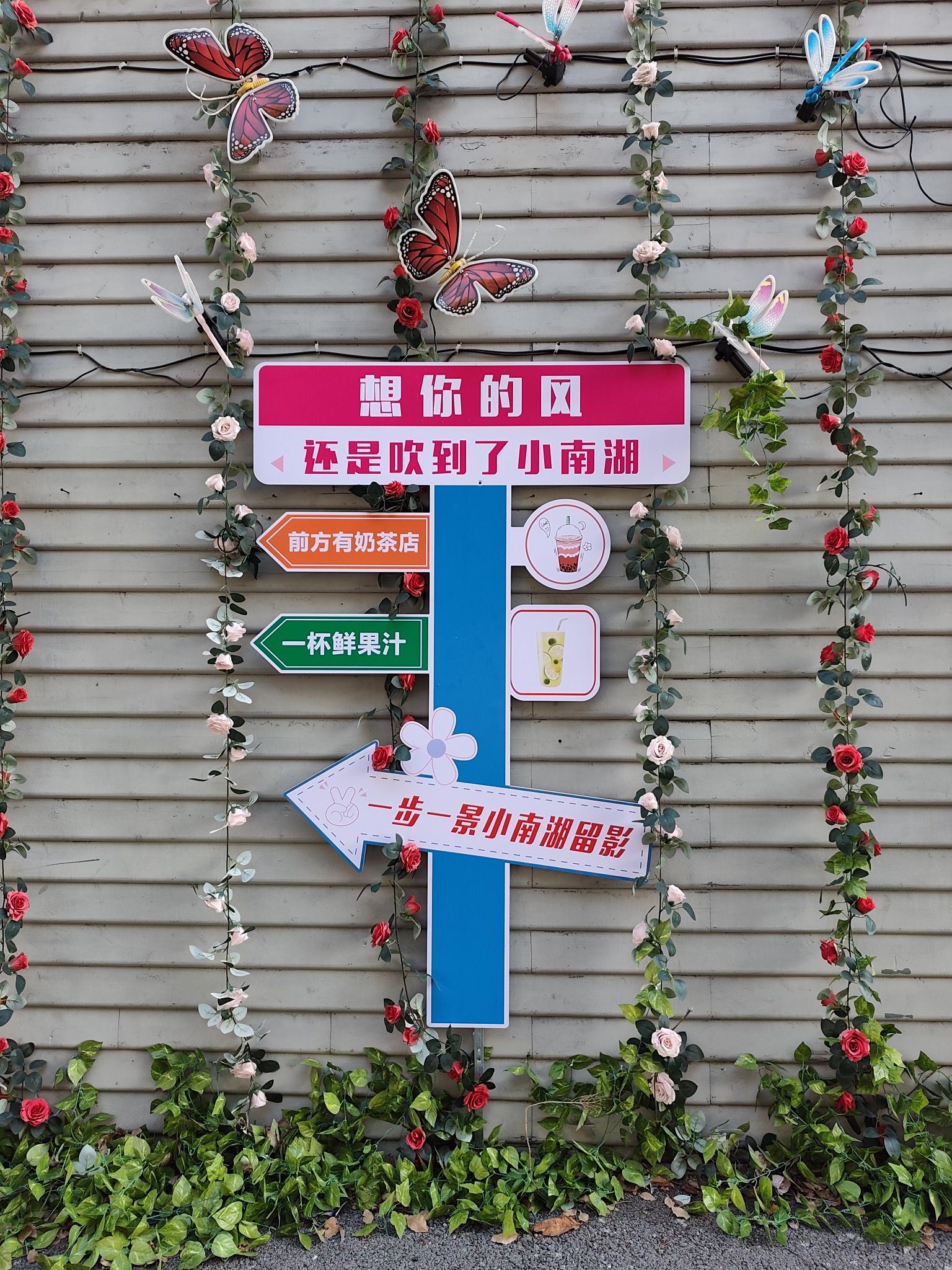小南湖风景区旅行图片 2
