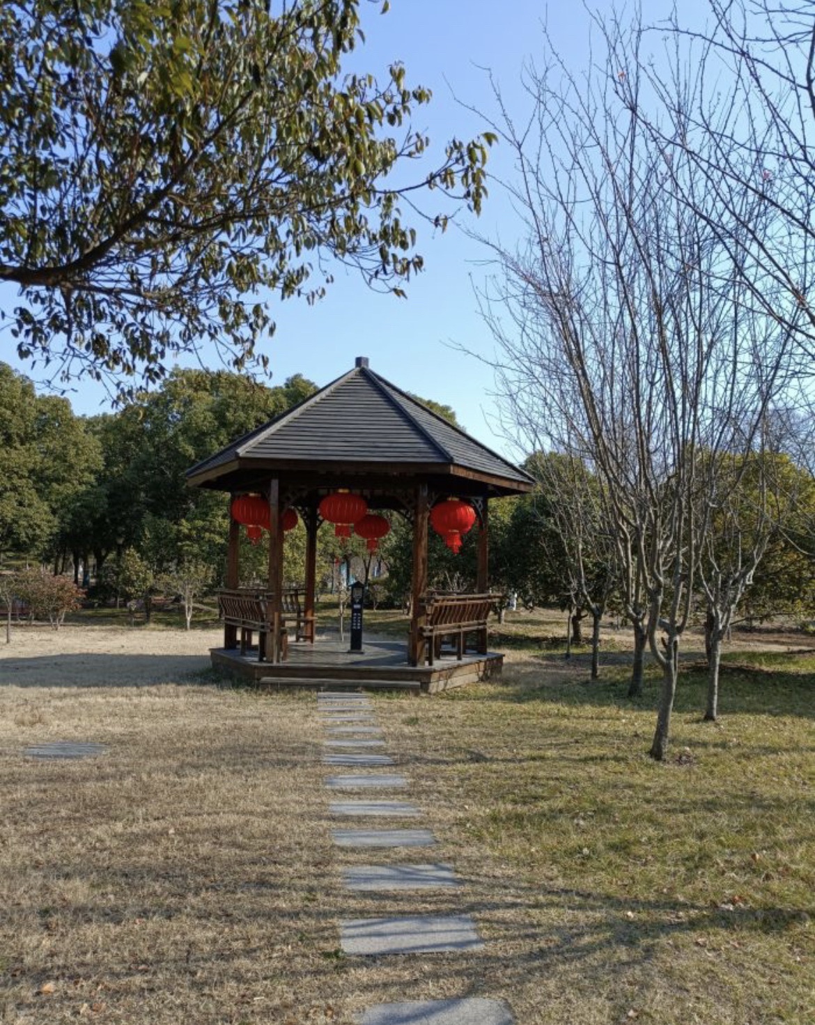 兴化市森林公园旅行图片 3