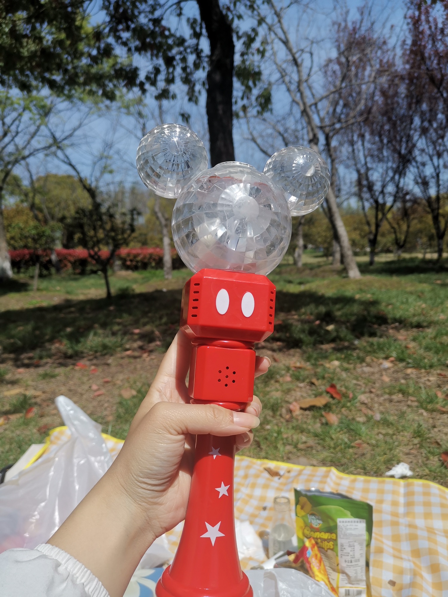 兴化市森林公园旅行图片 3