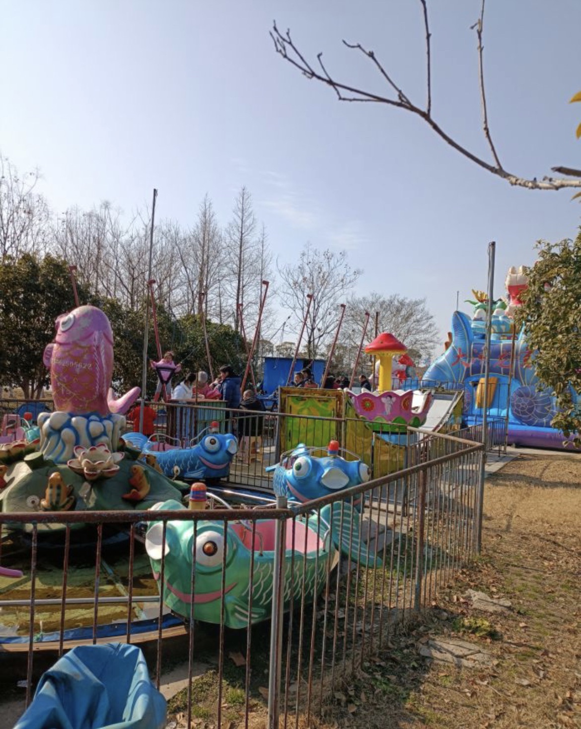 兴化市森林公园旅行图片 1