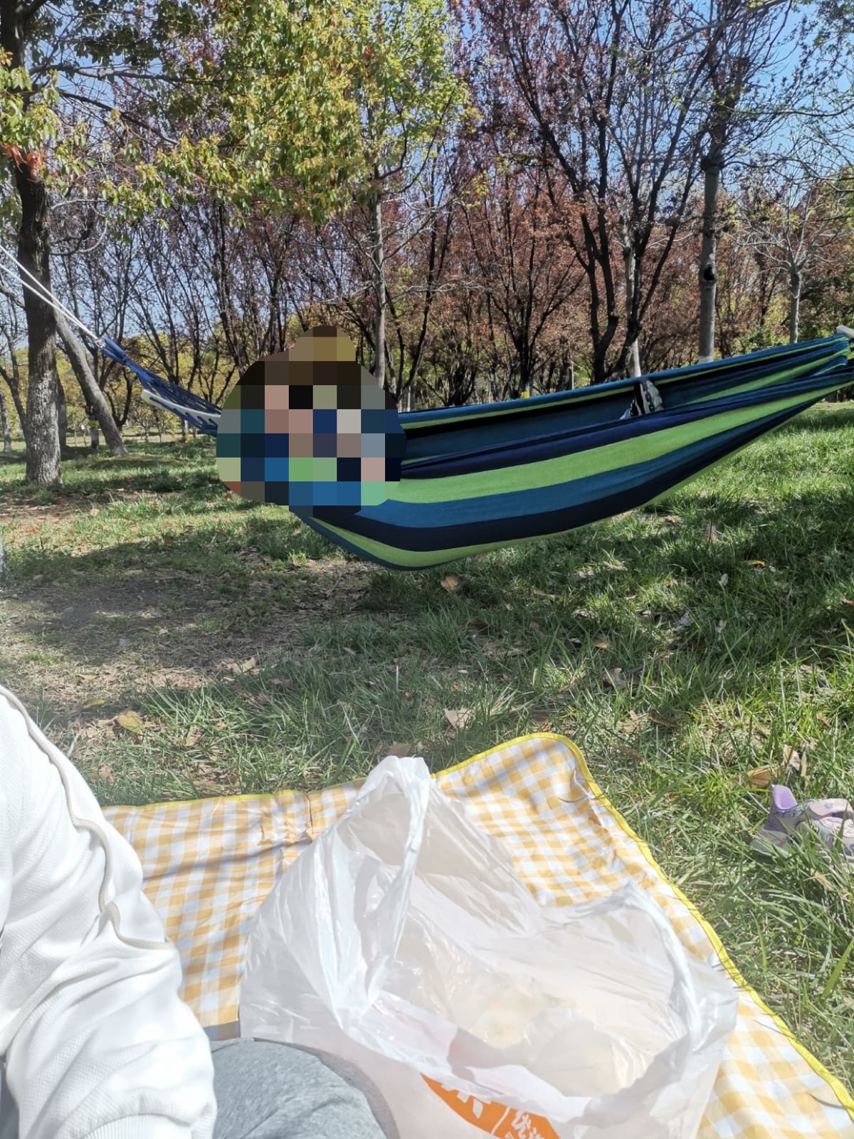 兴化市森林公园旅行图片 2