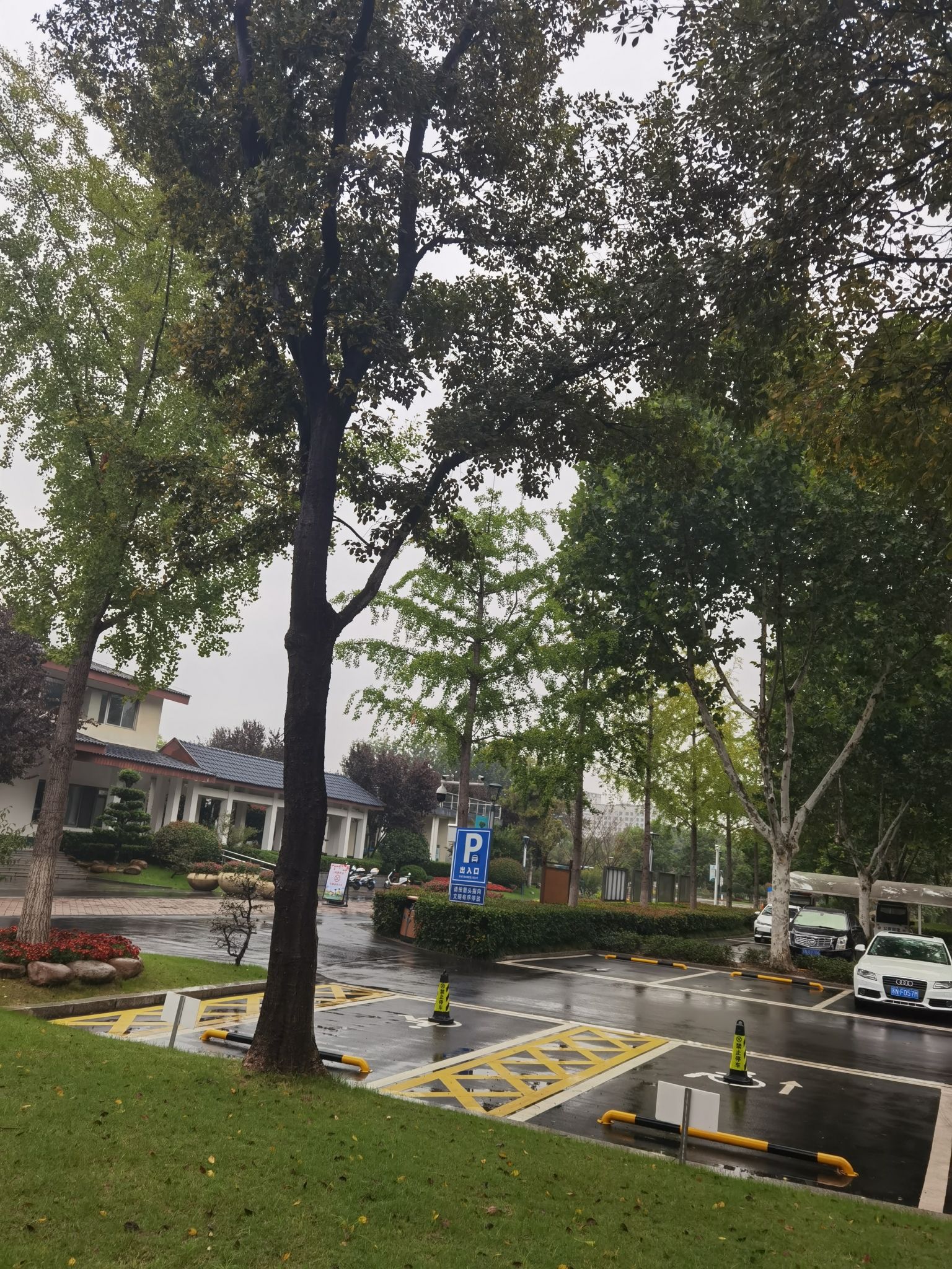河滨公园旅行图片 1