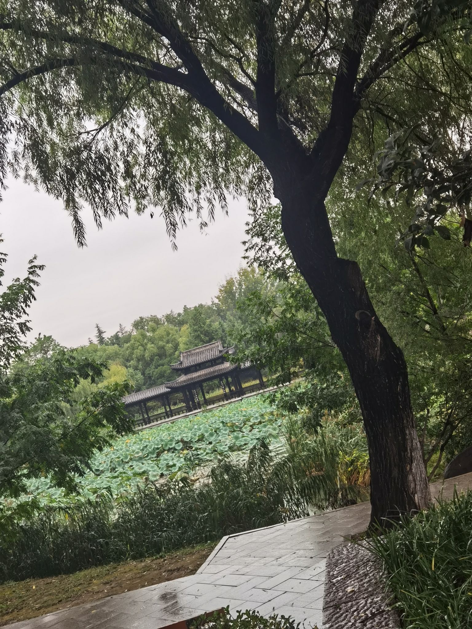 河滨公园旅行图片 2