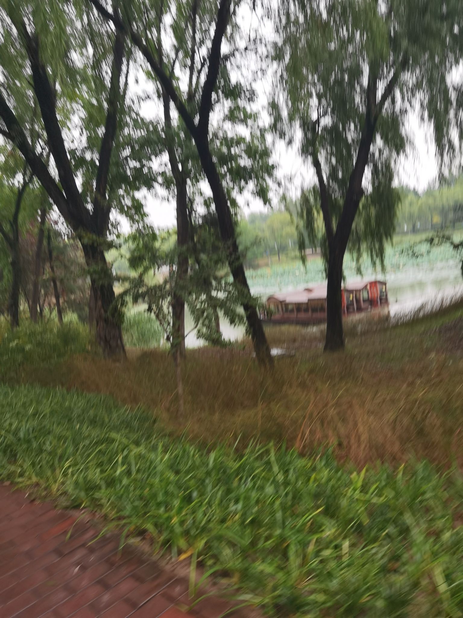 河滨公园旅行图片 3