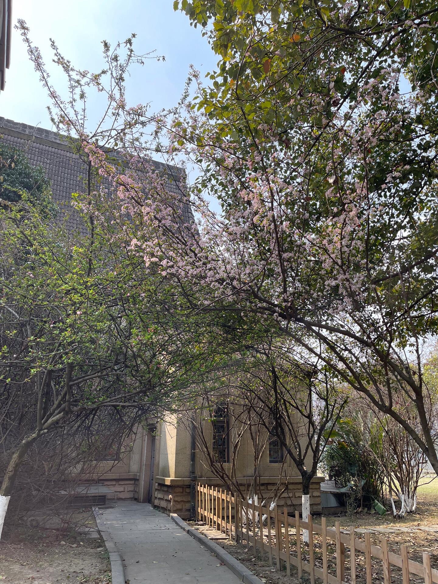 南湖公园旅行图片 3
