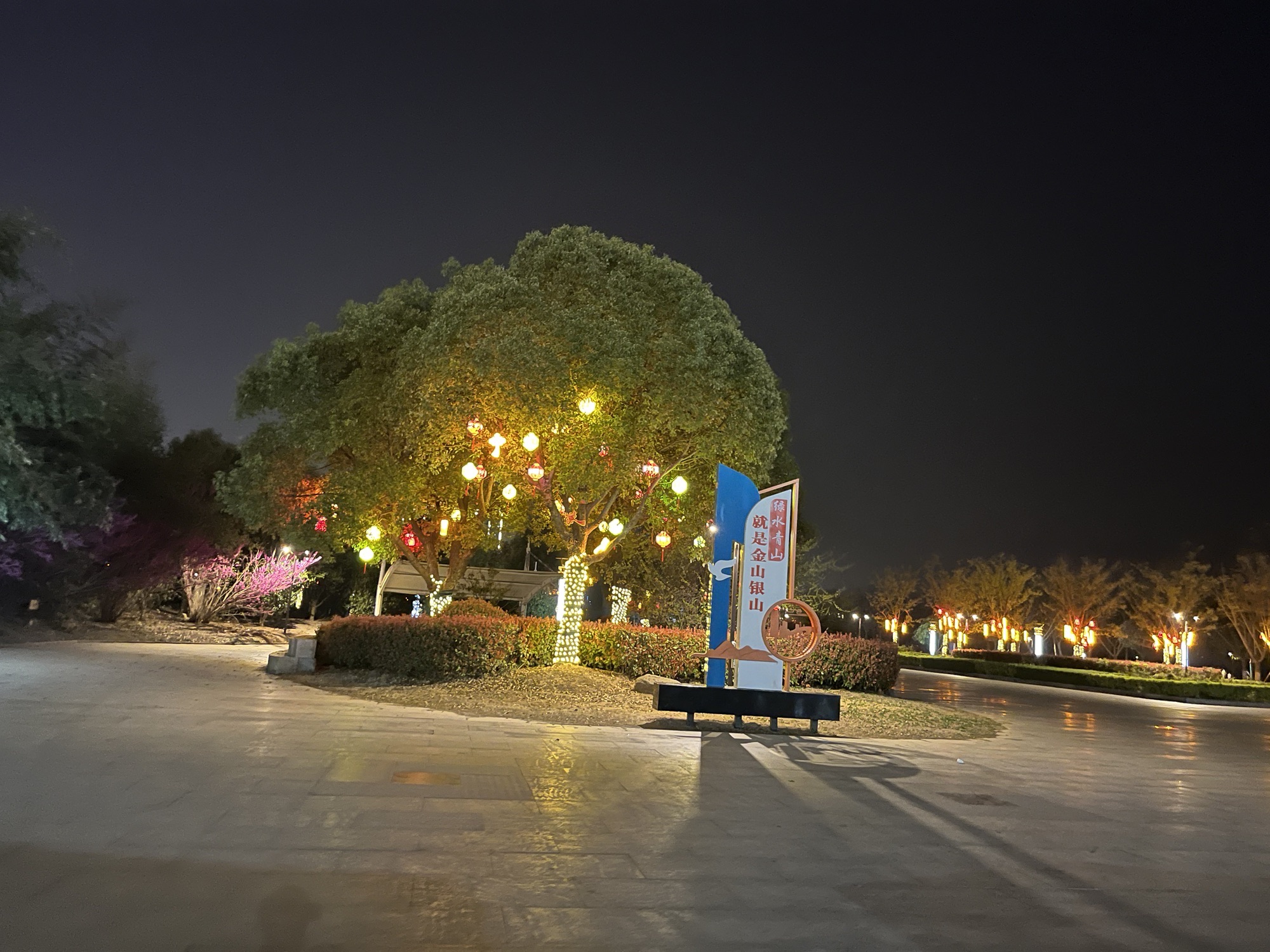 南湖公园旅行图片 1