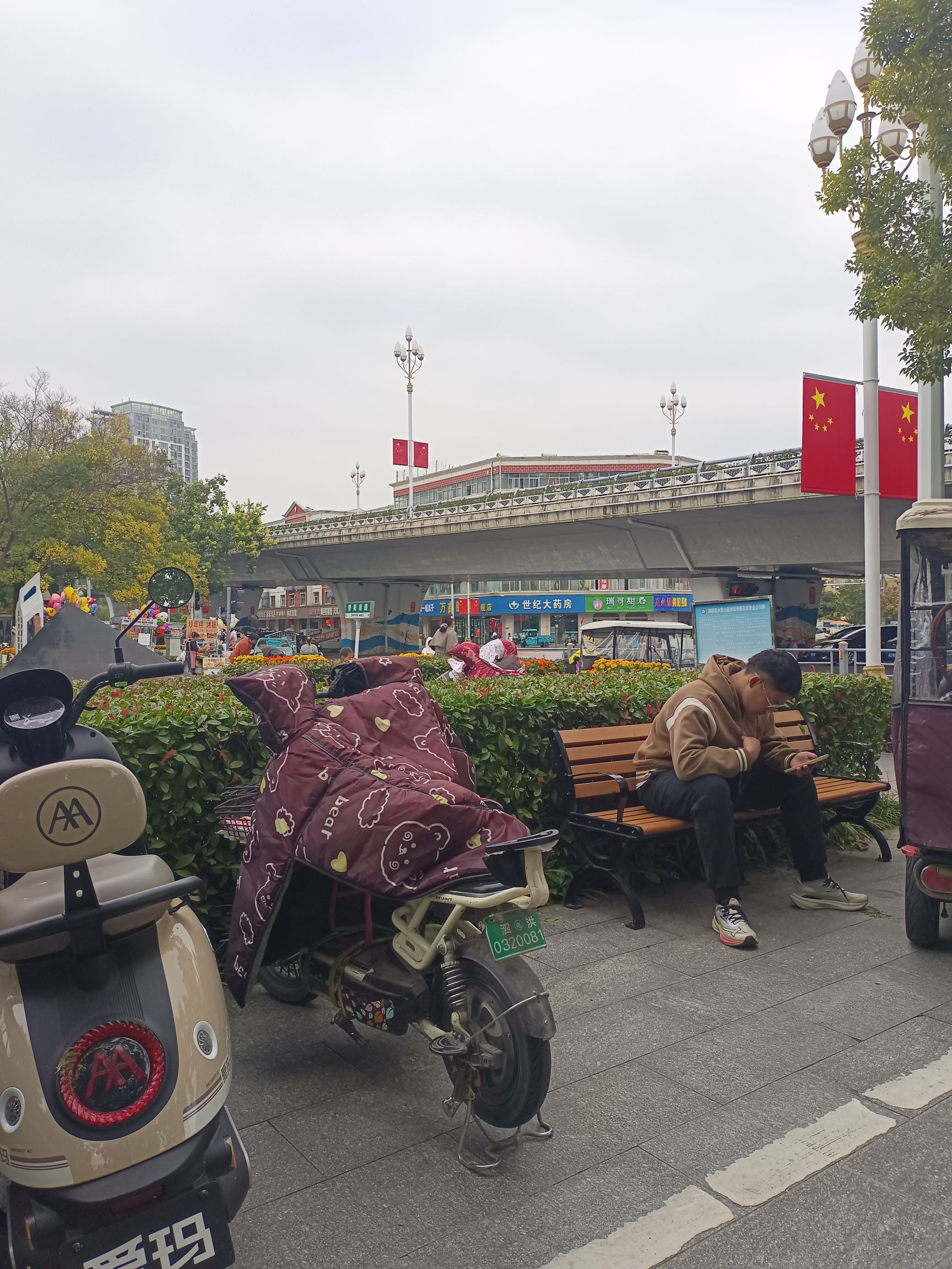世纪公园旅行图片 1