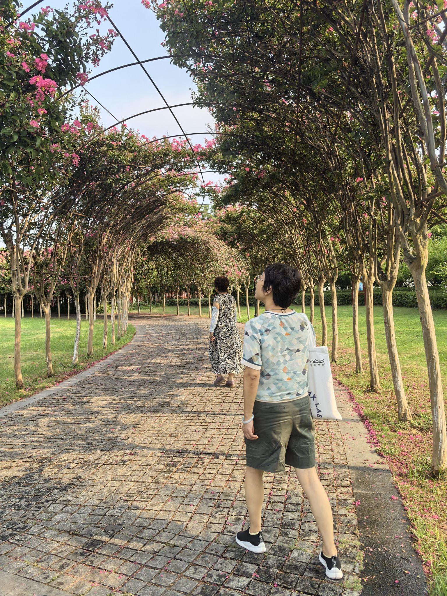 世纪公园旅行图片 3