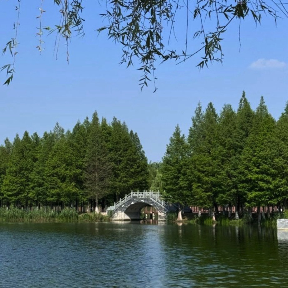 泗阳城市森林公园旅行图片 2