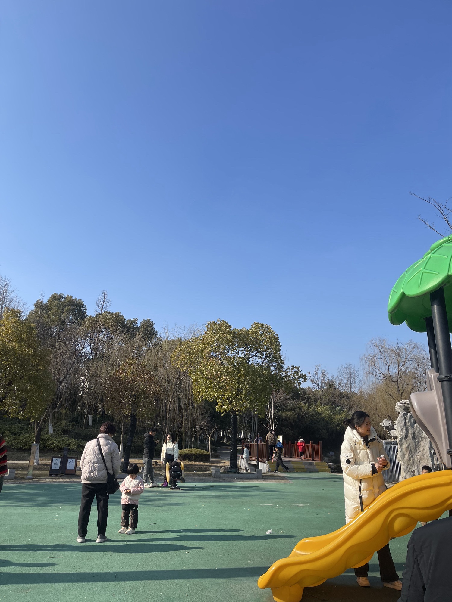 泗阳城市森林公园旅行图片 3