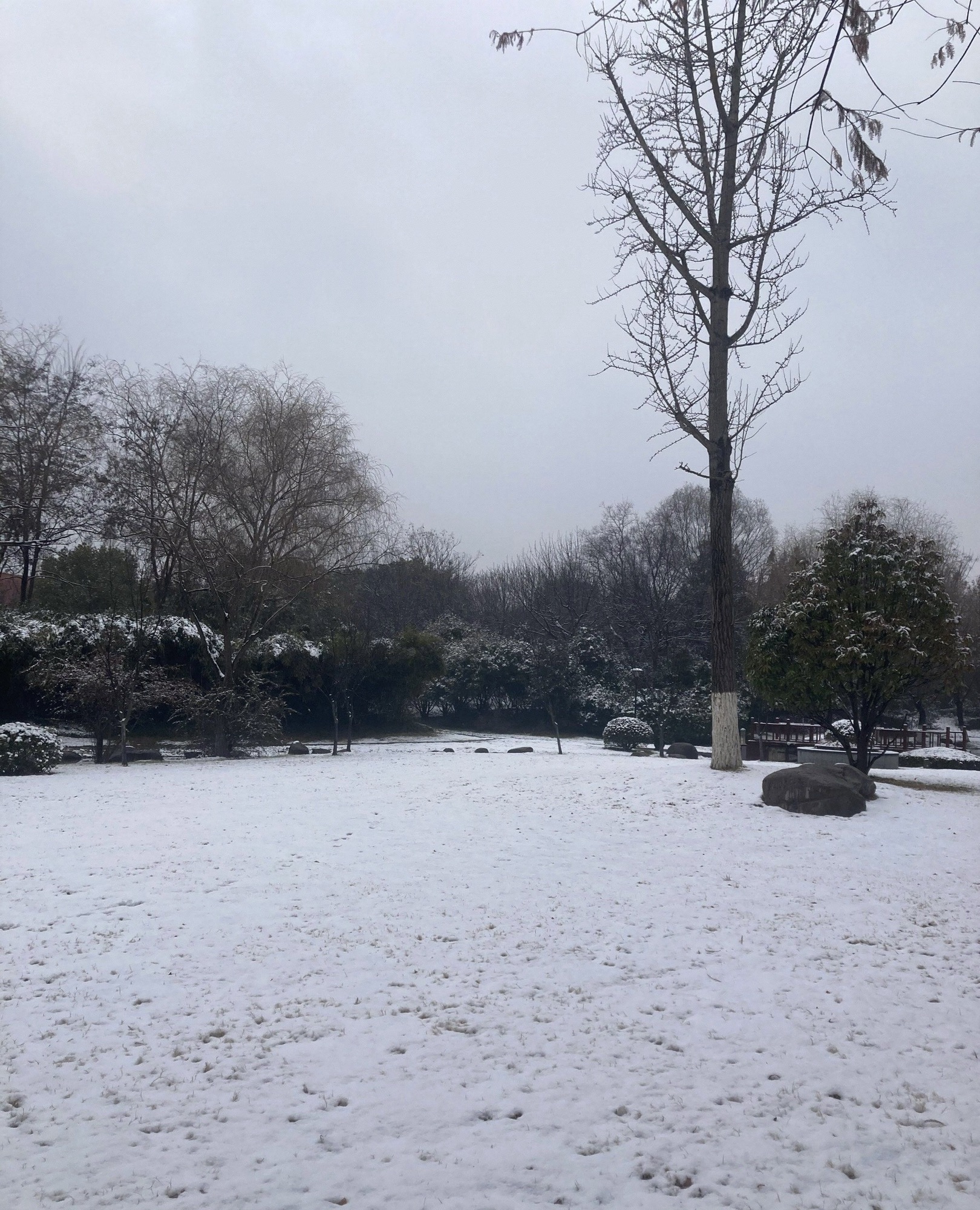 泗阳城市森林公园旅行图片 3