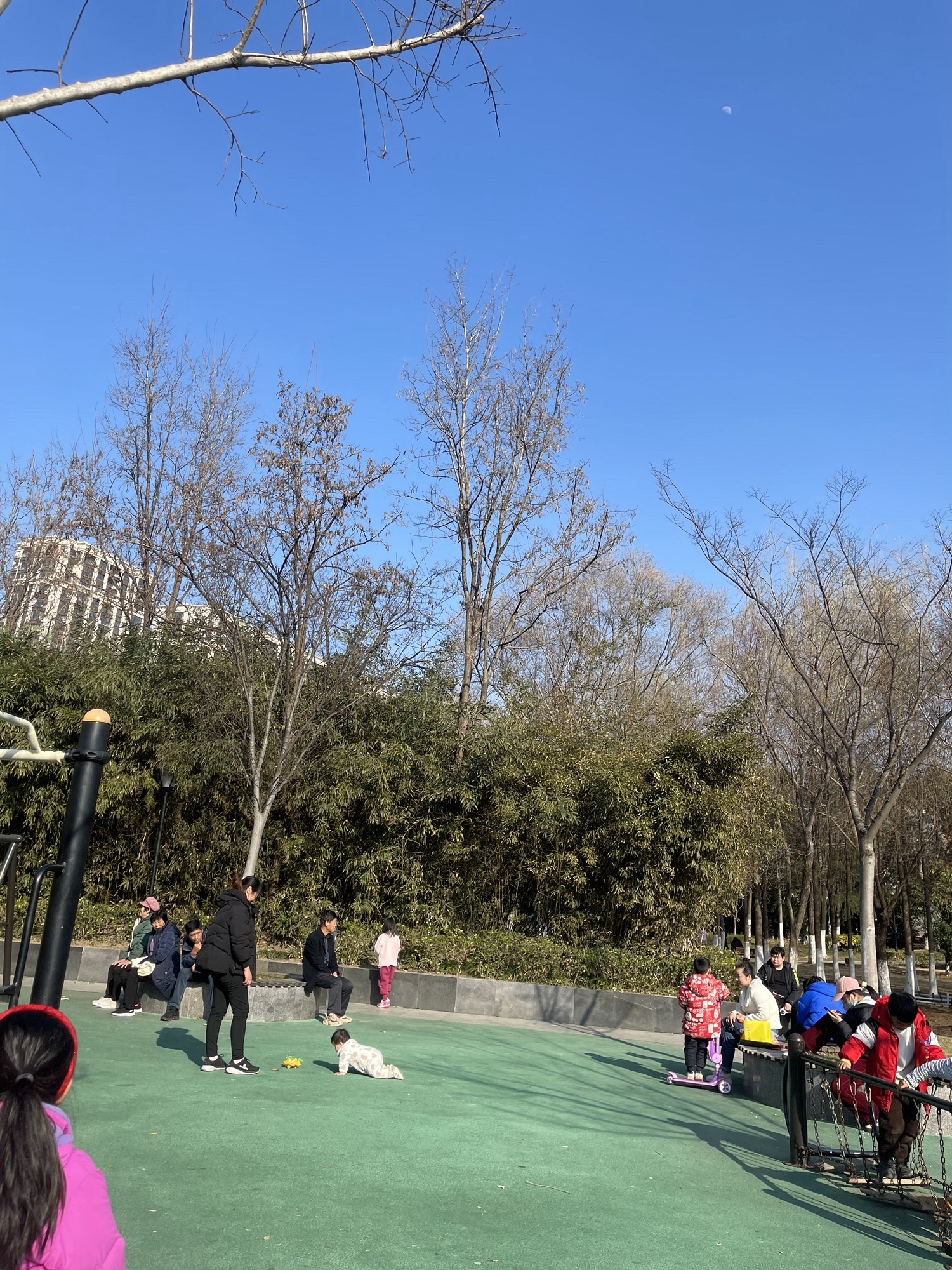 泗阳城市森林公园旅行图片 2