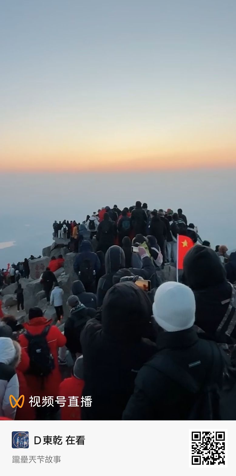 泗阳城市森林公园旅行图片 1