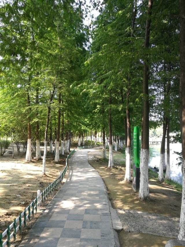 泗阳奥林匹克生态公园旅行图片 3