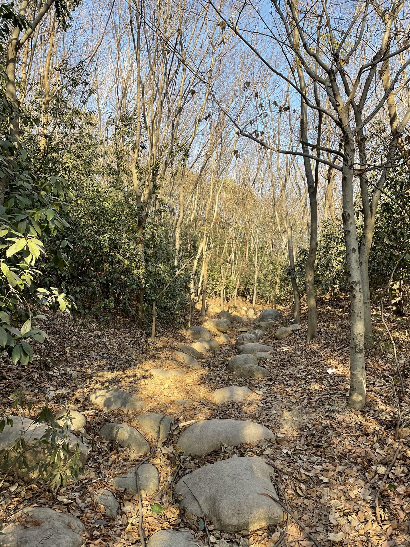 泗阳奥林匹克生态公园旅行图片 2
