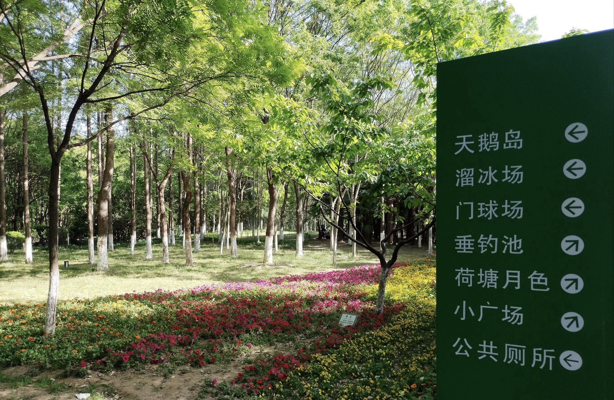 泗阳奥林匹克生态公园